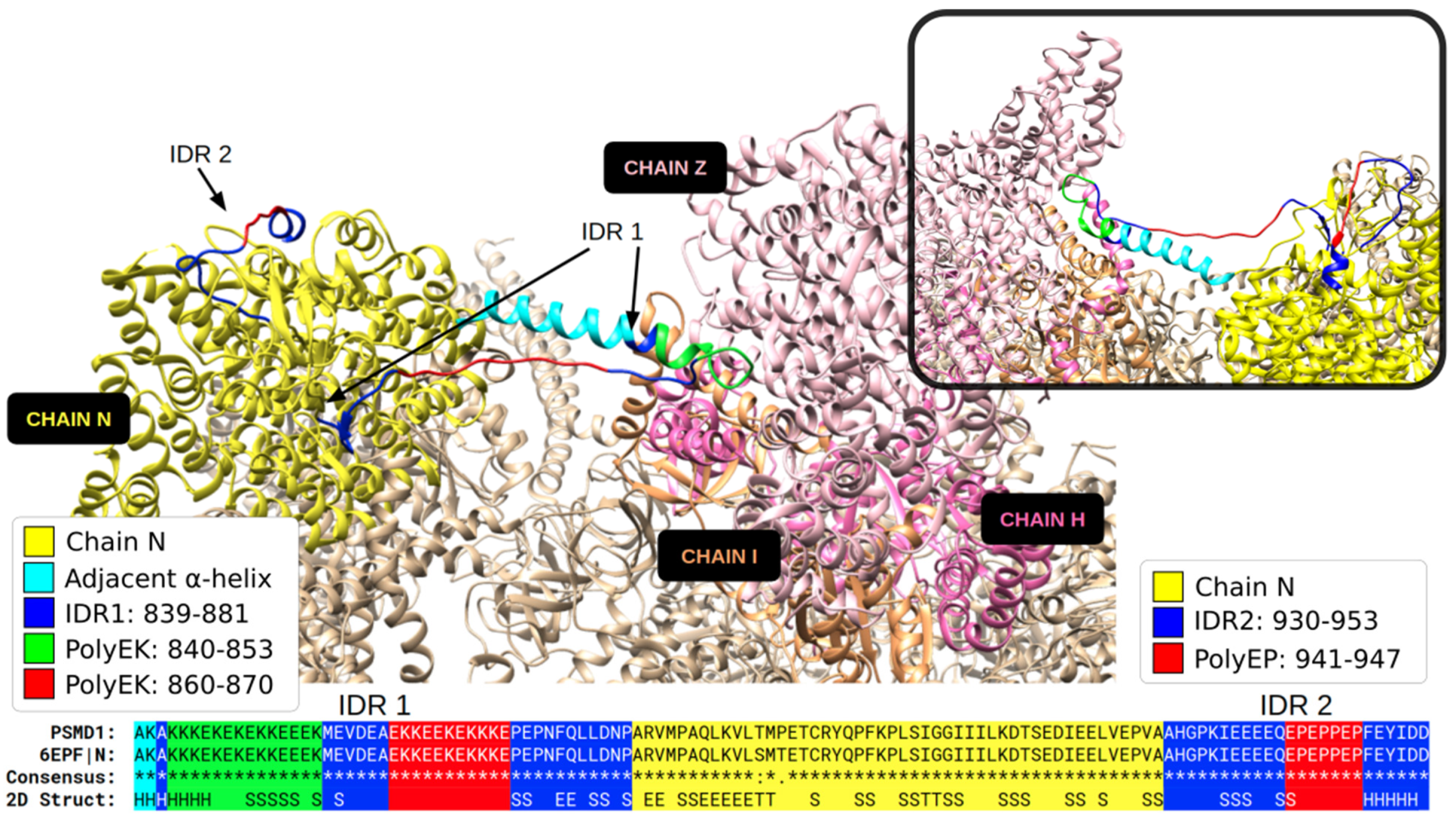 Biomolecules 12 01098 g006