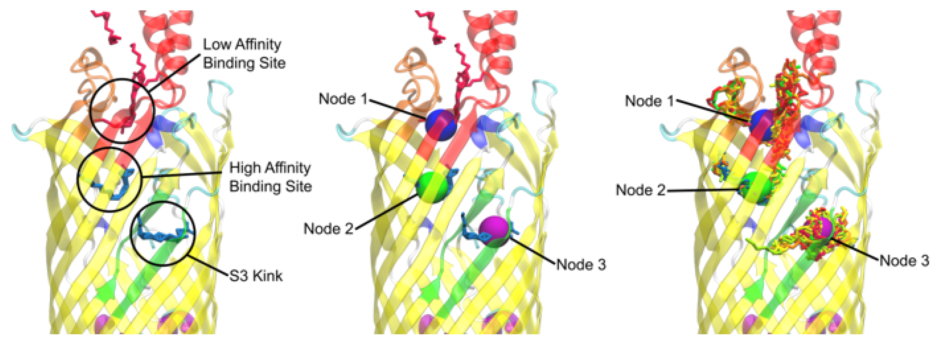 Biomolecules 12 01269 g003