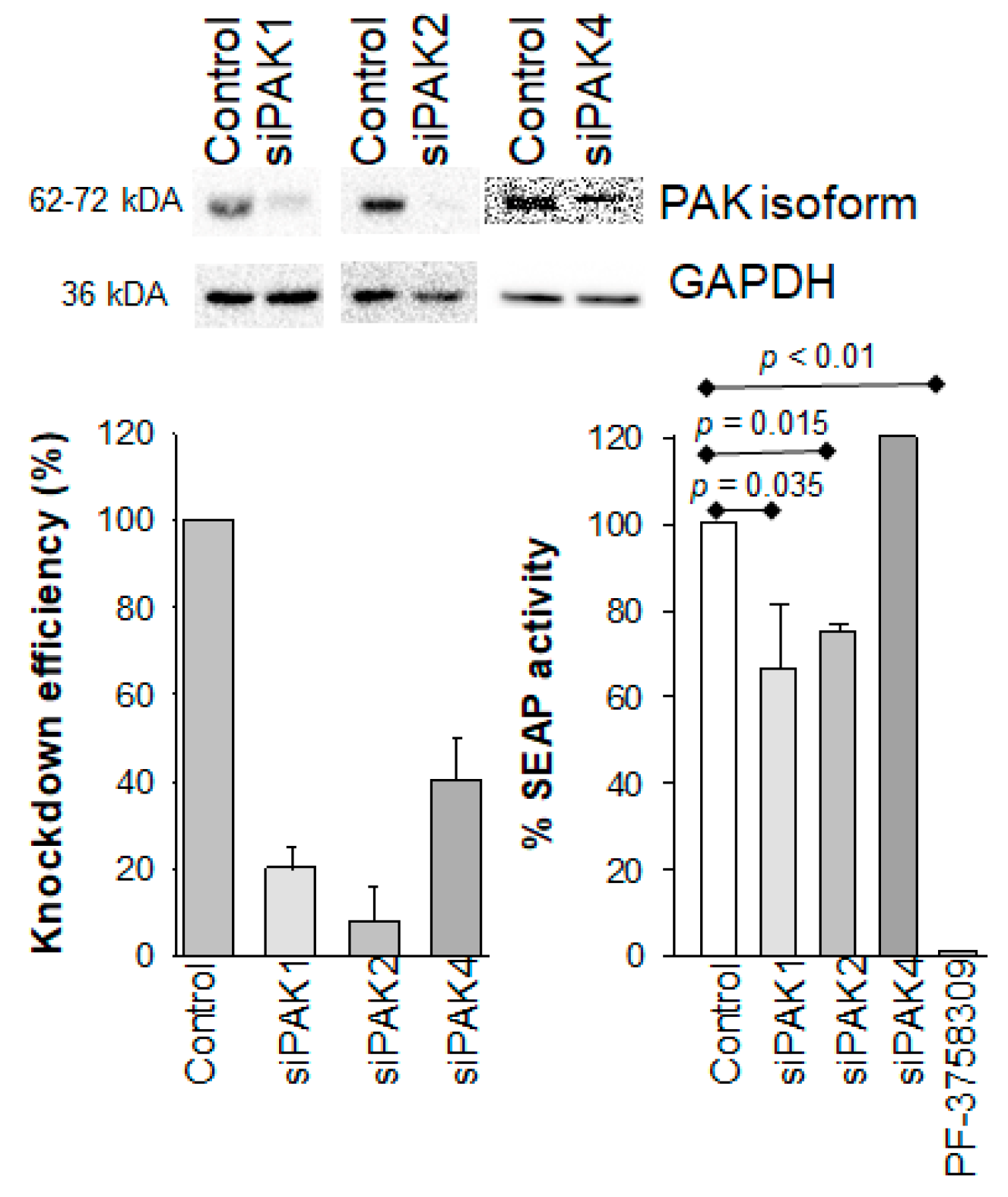 Biomolecules 13 00100 g003