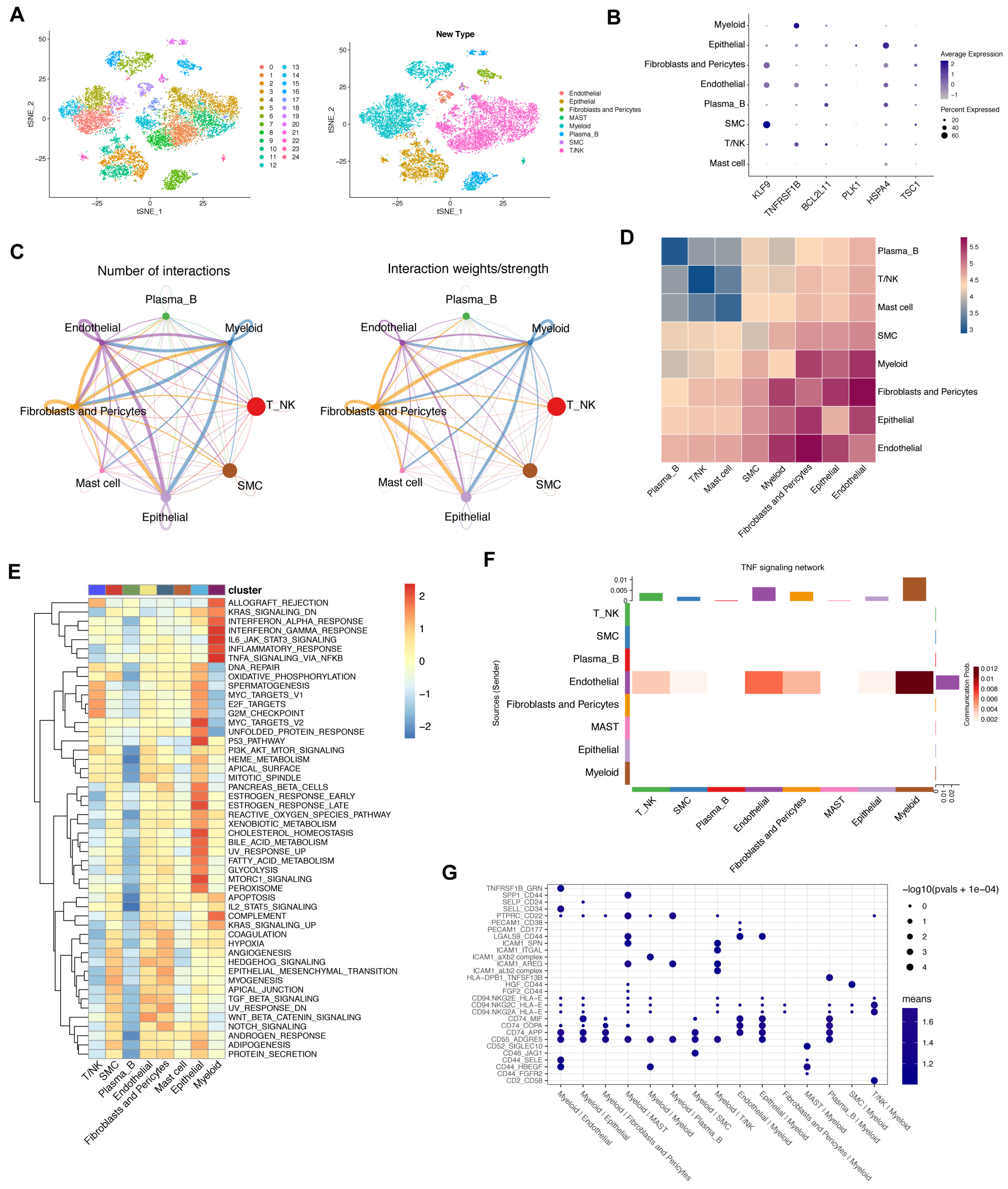 Biomolecules 13 00101 g006