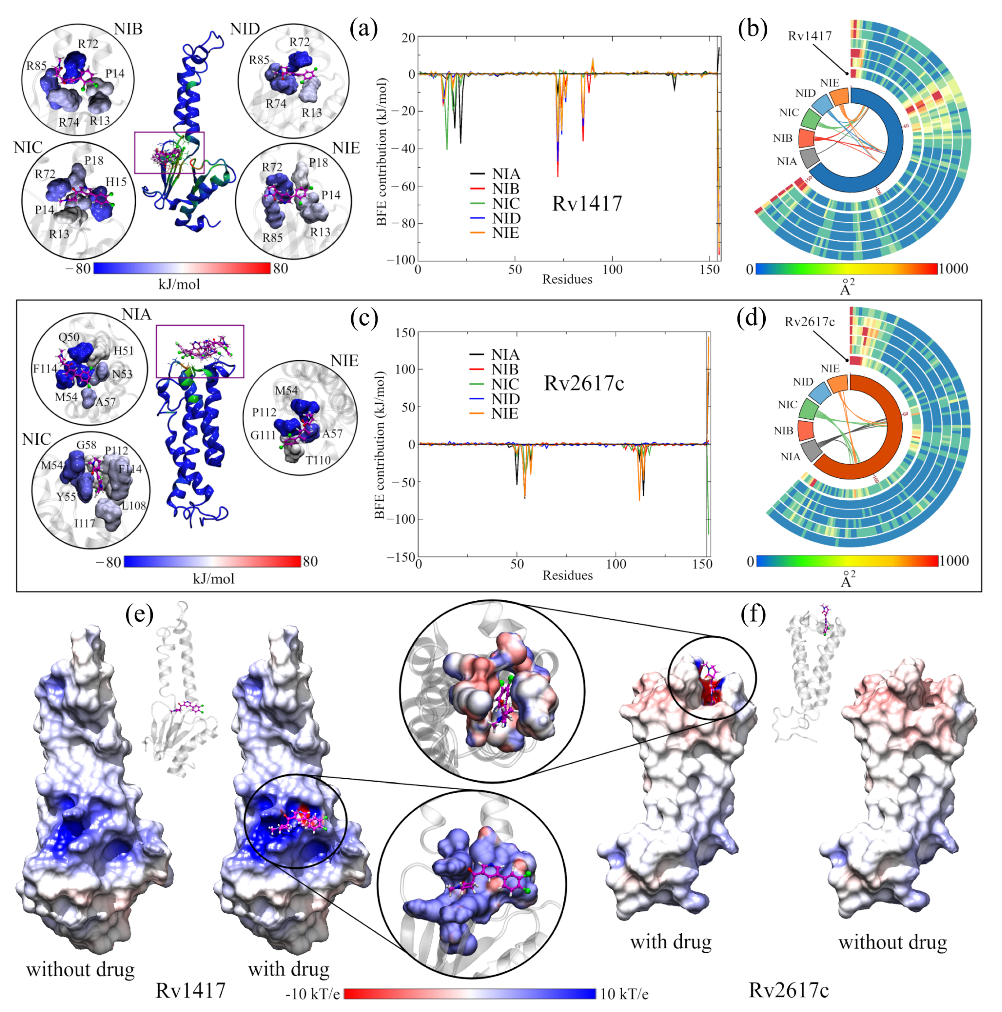 Biomolecules 13 00248 g004
