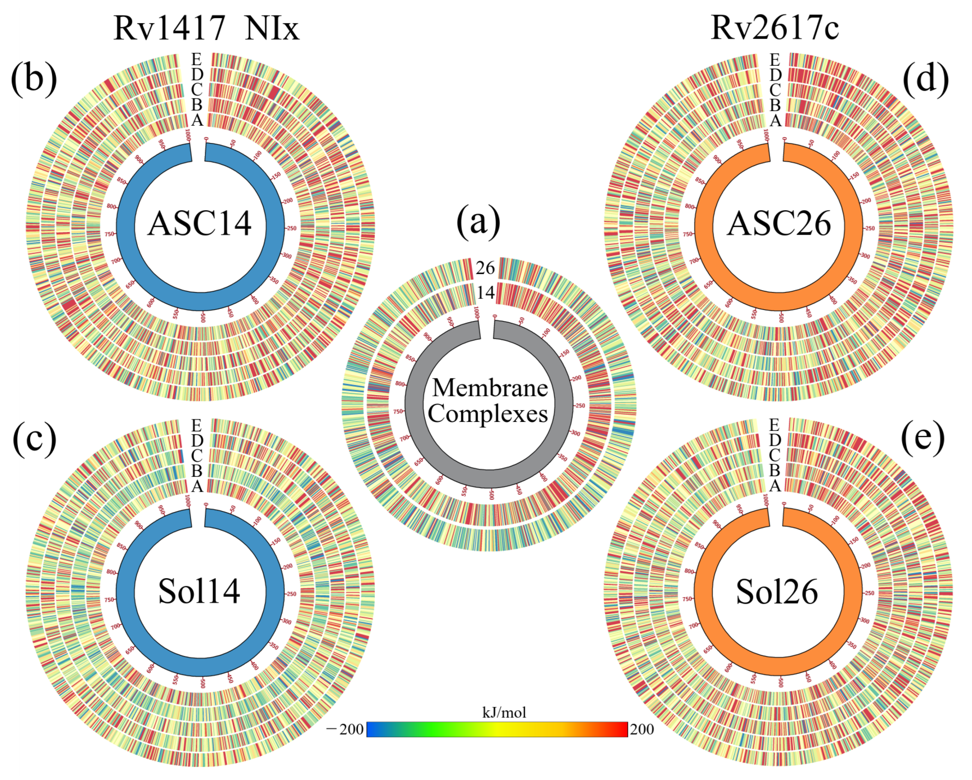 Biomolecules 13 00248 g007