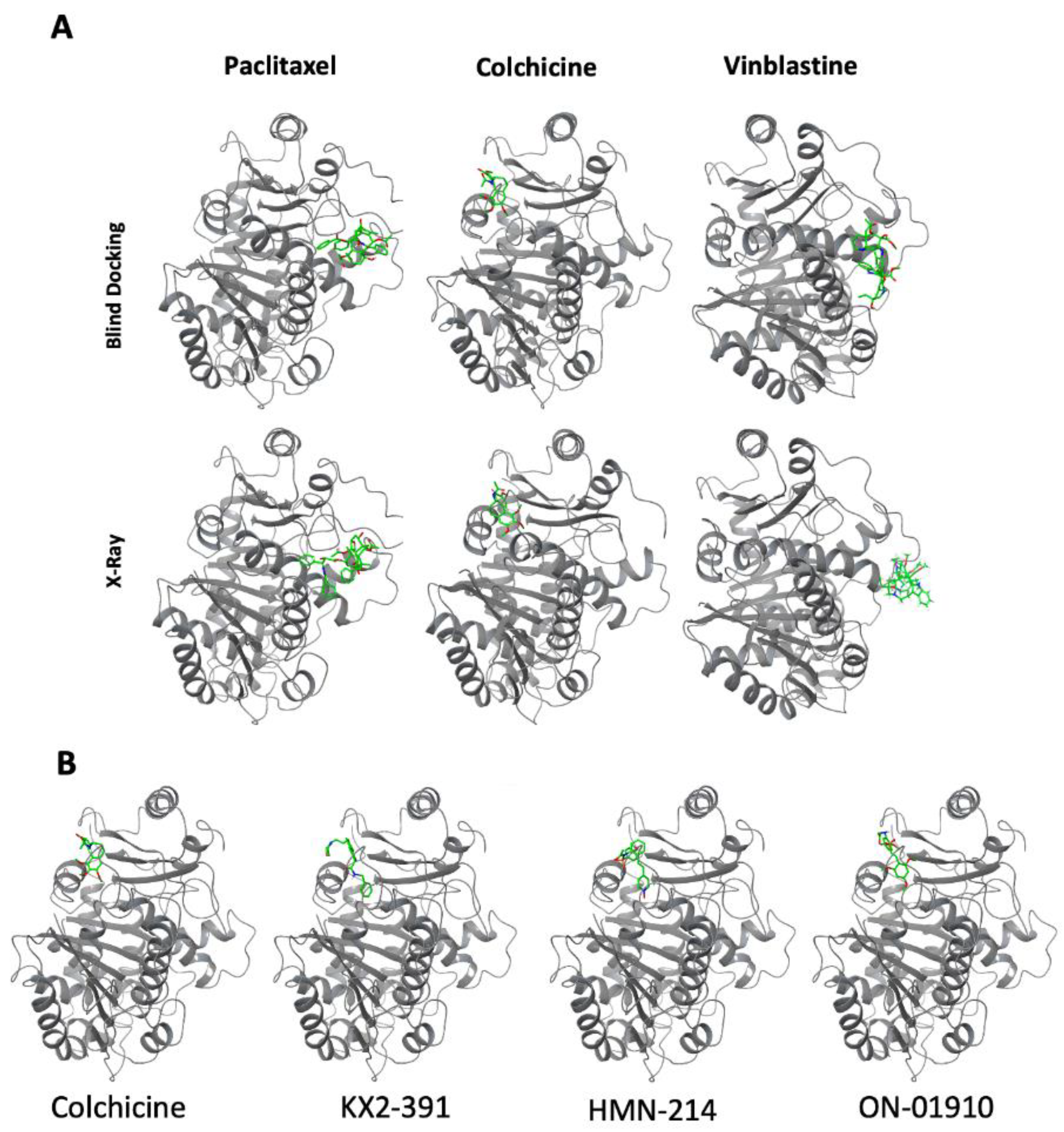 Biomolecules 13 00249 g005 Biomolecules 13 00249 g005