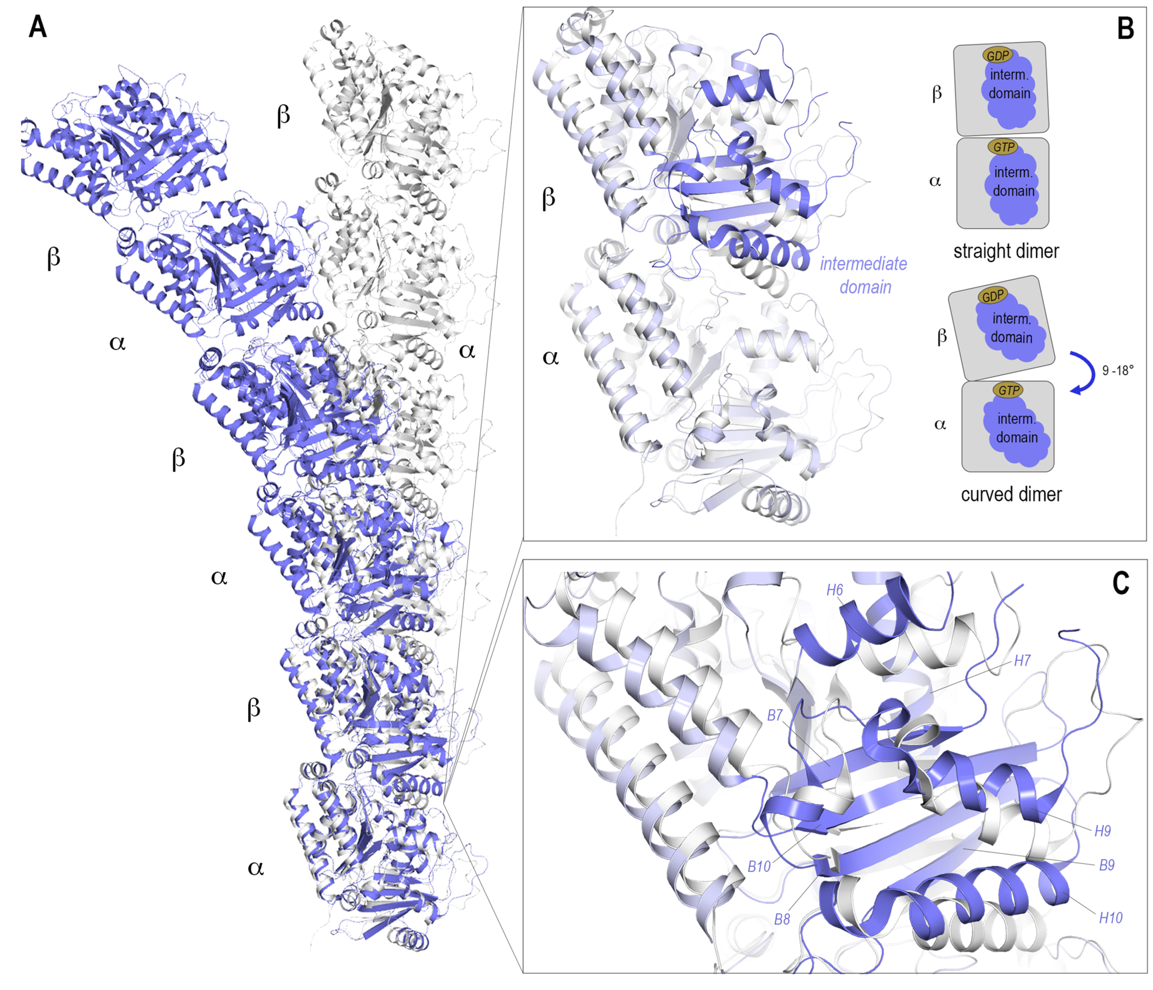 Biomolecules 13 00285 g002