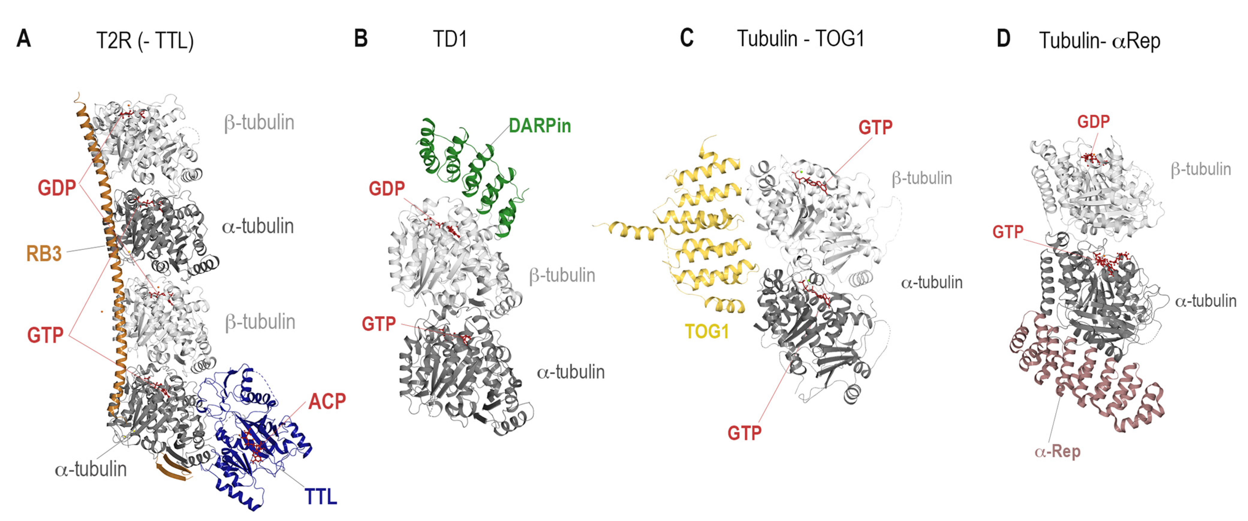 Biomolecules 13 00285 g003