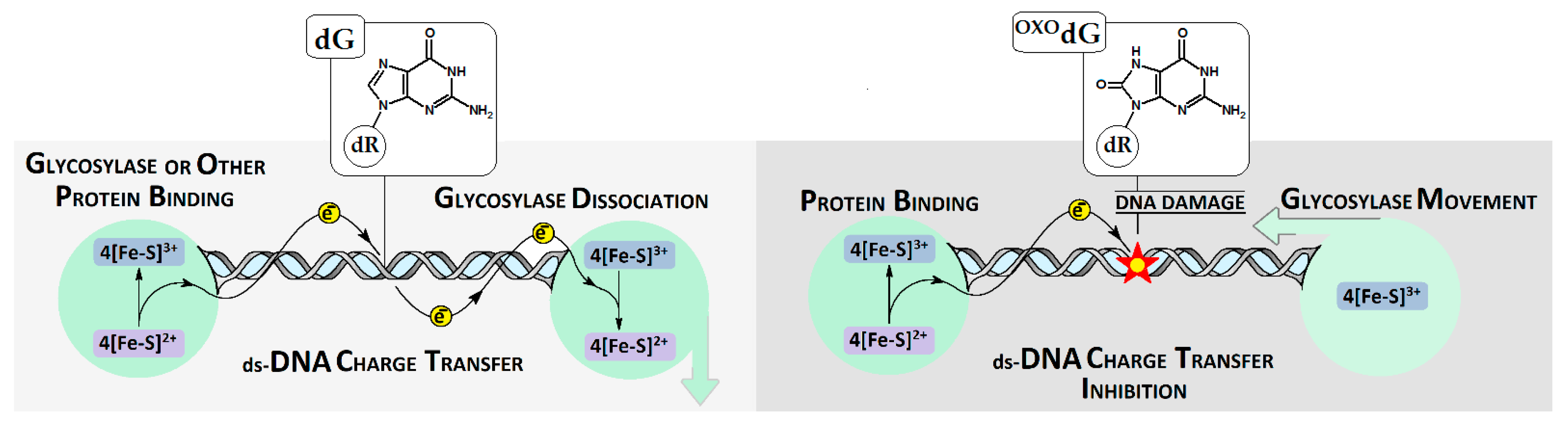 Biomolecules 13 00517 g001