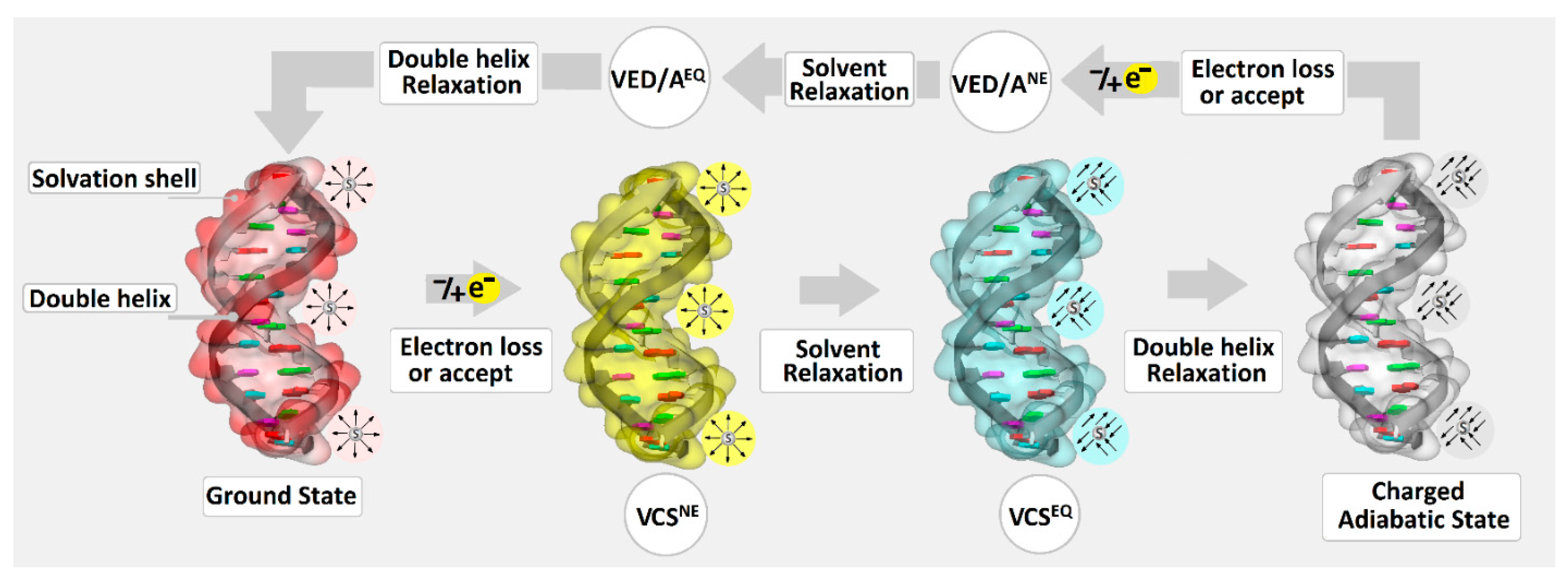 Biomolecules 13 00517 g002