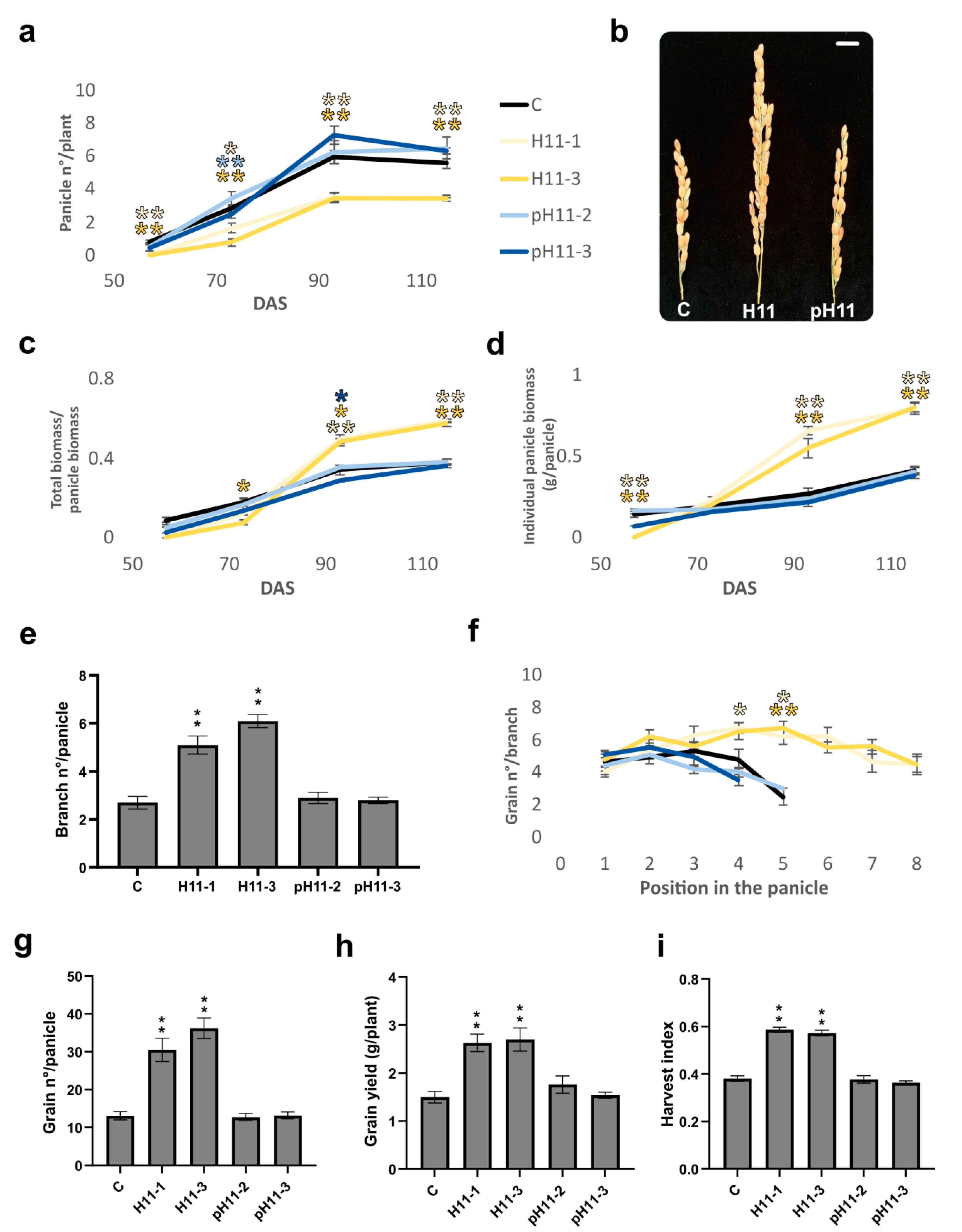 Biomolecules 13 00826 g002 Biomolecules 13 00826 g002