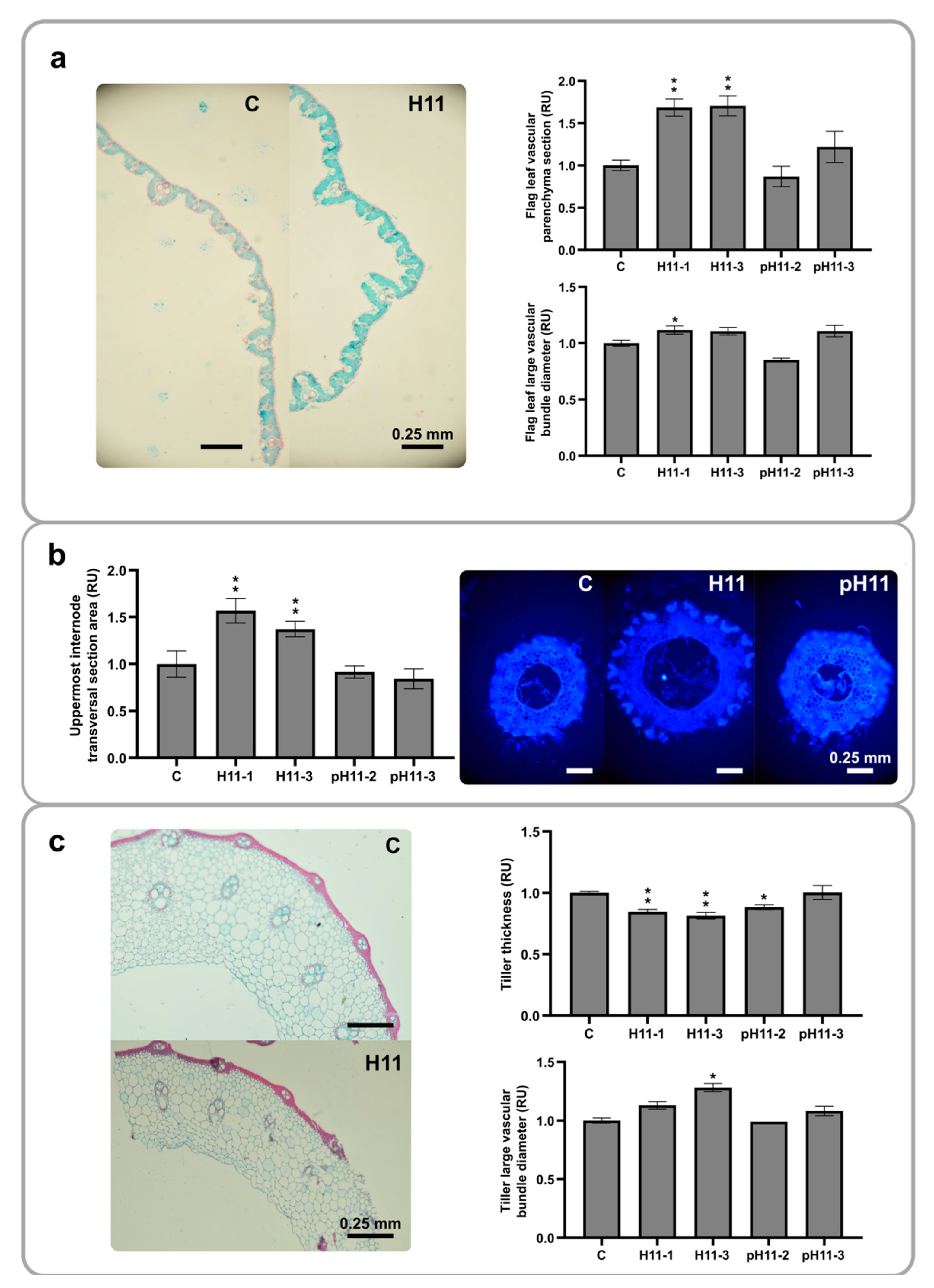 Biomolecules 13 00826 g004 Biomolecules 13 00826 g004