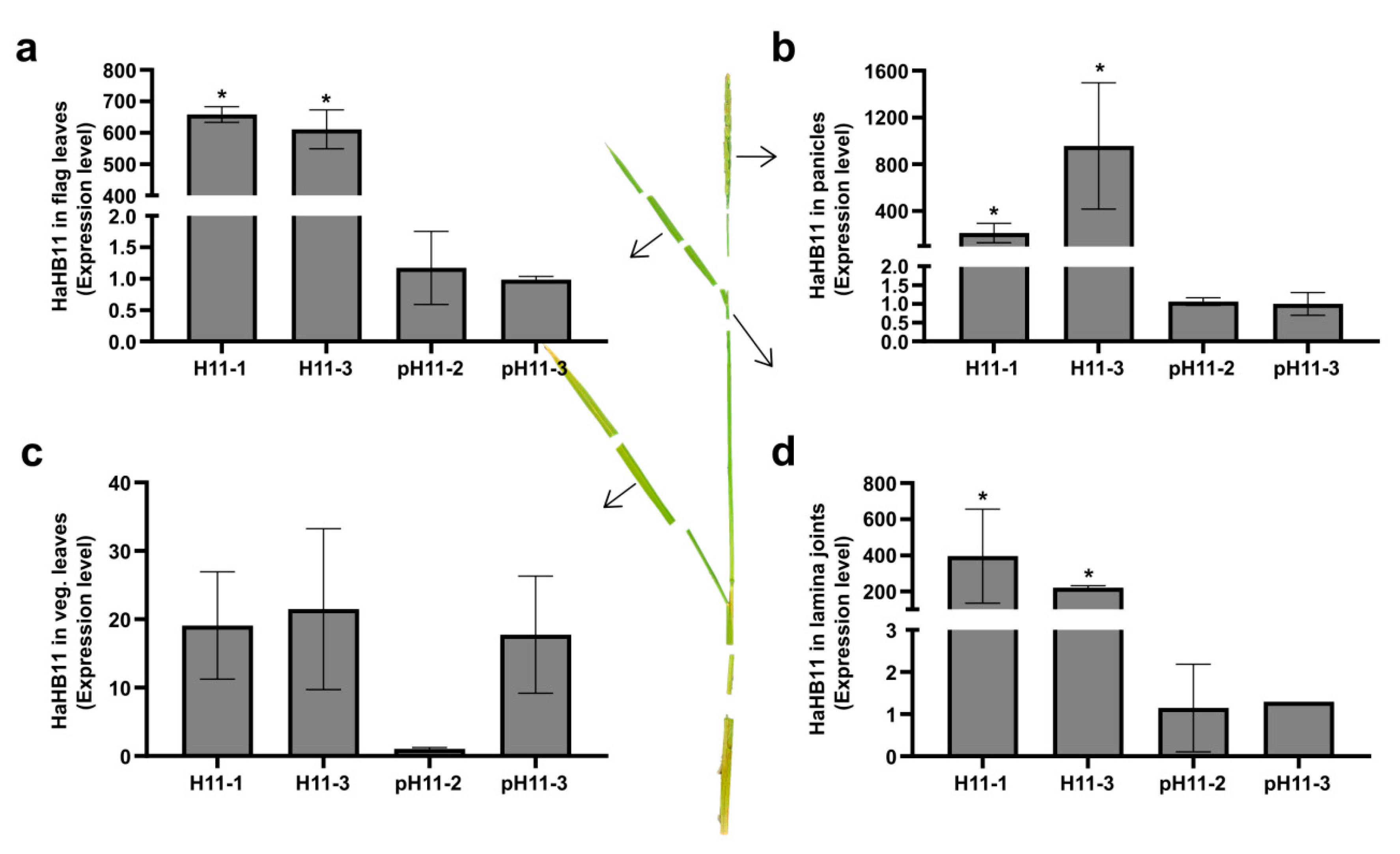 Biomolecules 13 00826 g006 Biomolecules 13 00826 g006