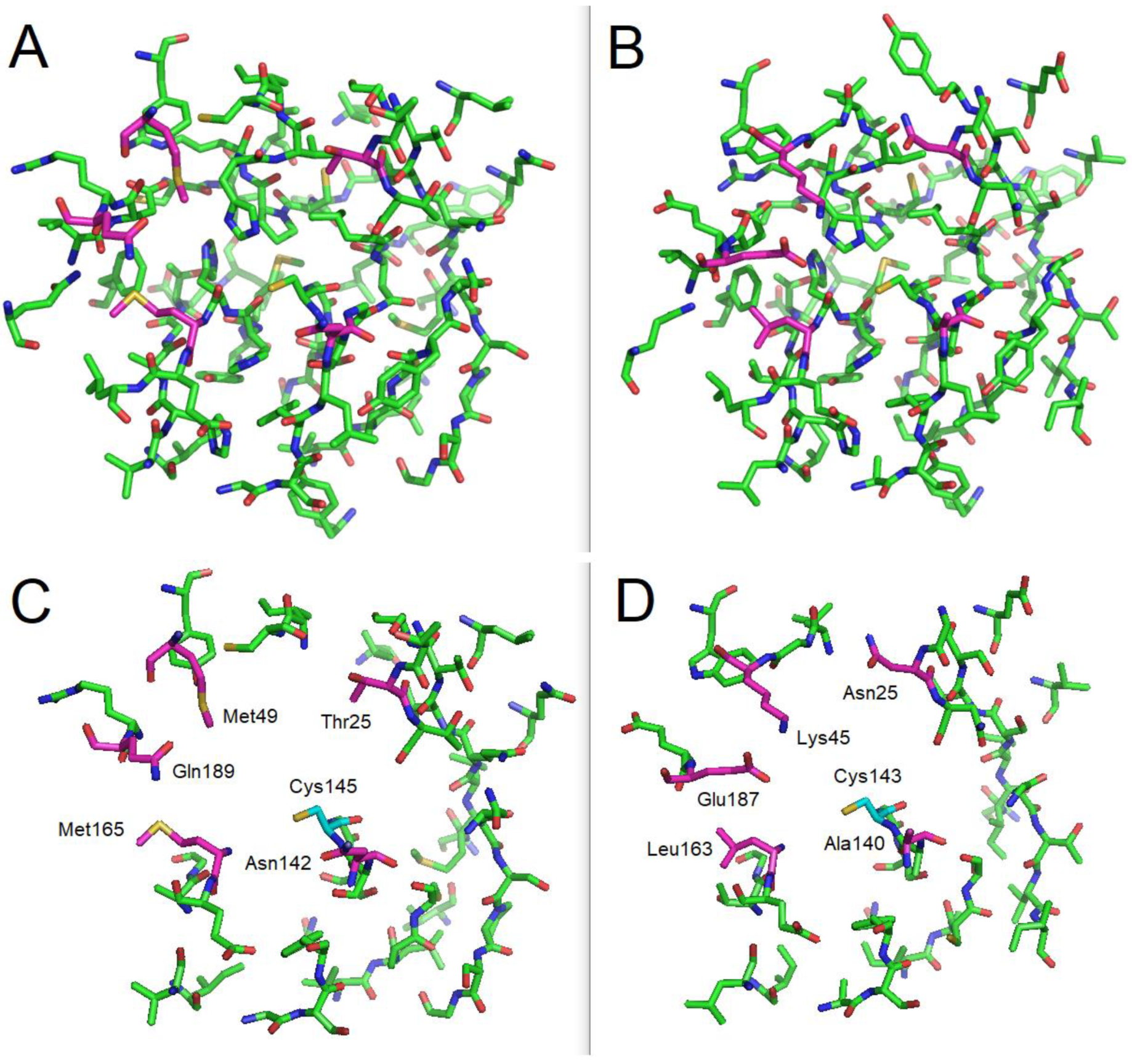 Biomolecules 13 00956 g003