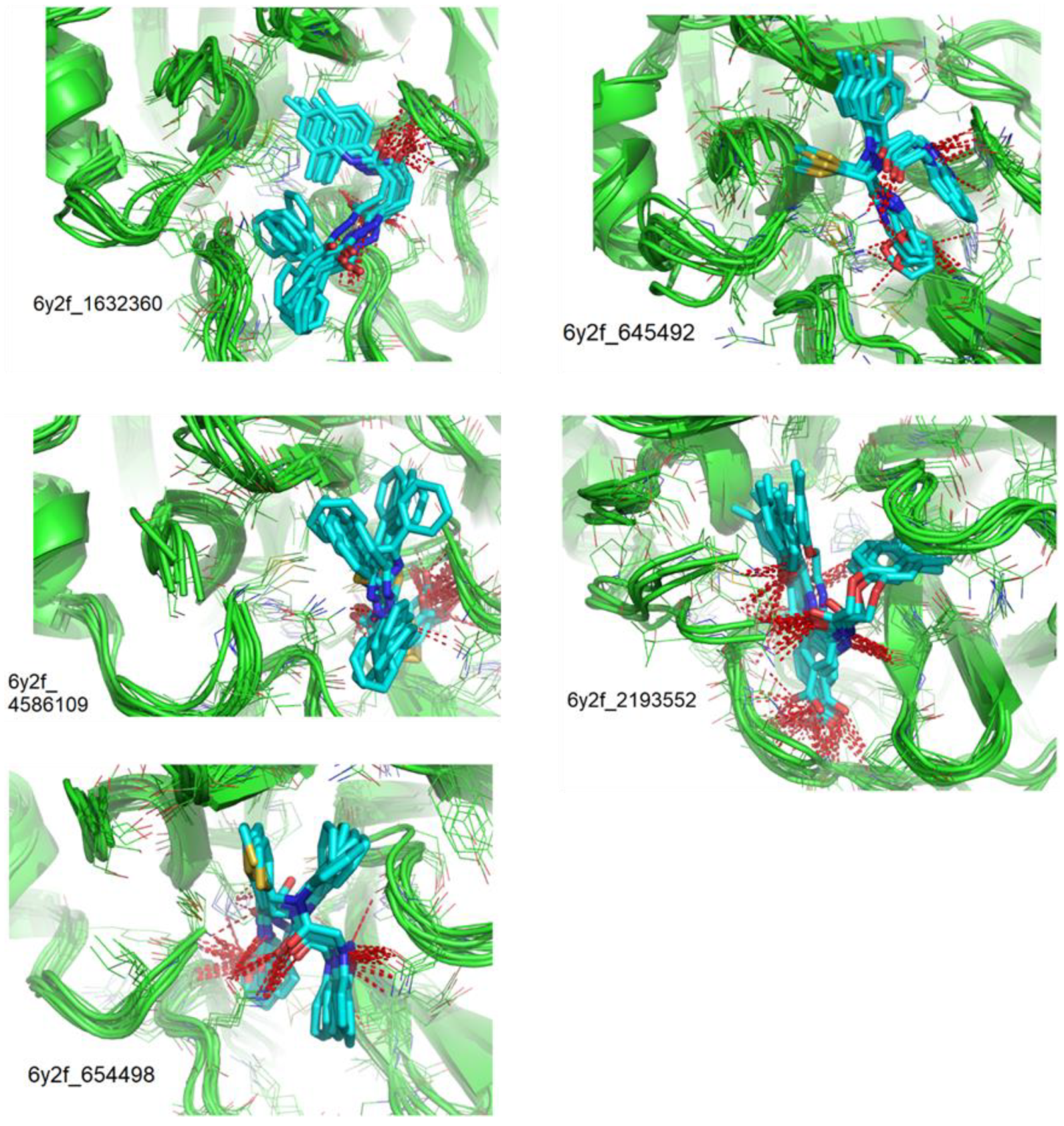 Biomolecules 13 00956 g007