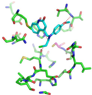 Biomolecules 13 00956 i004