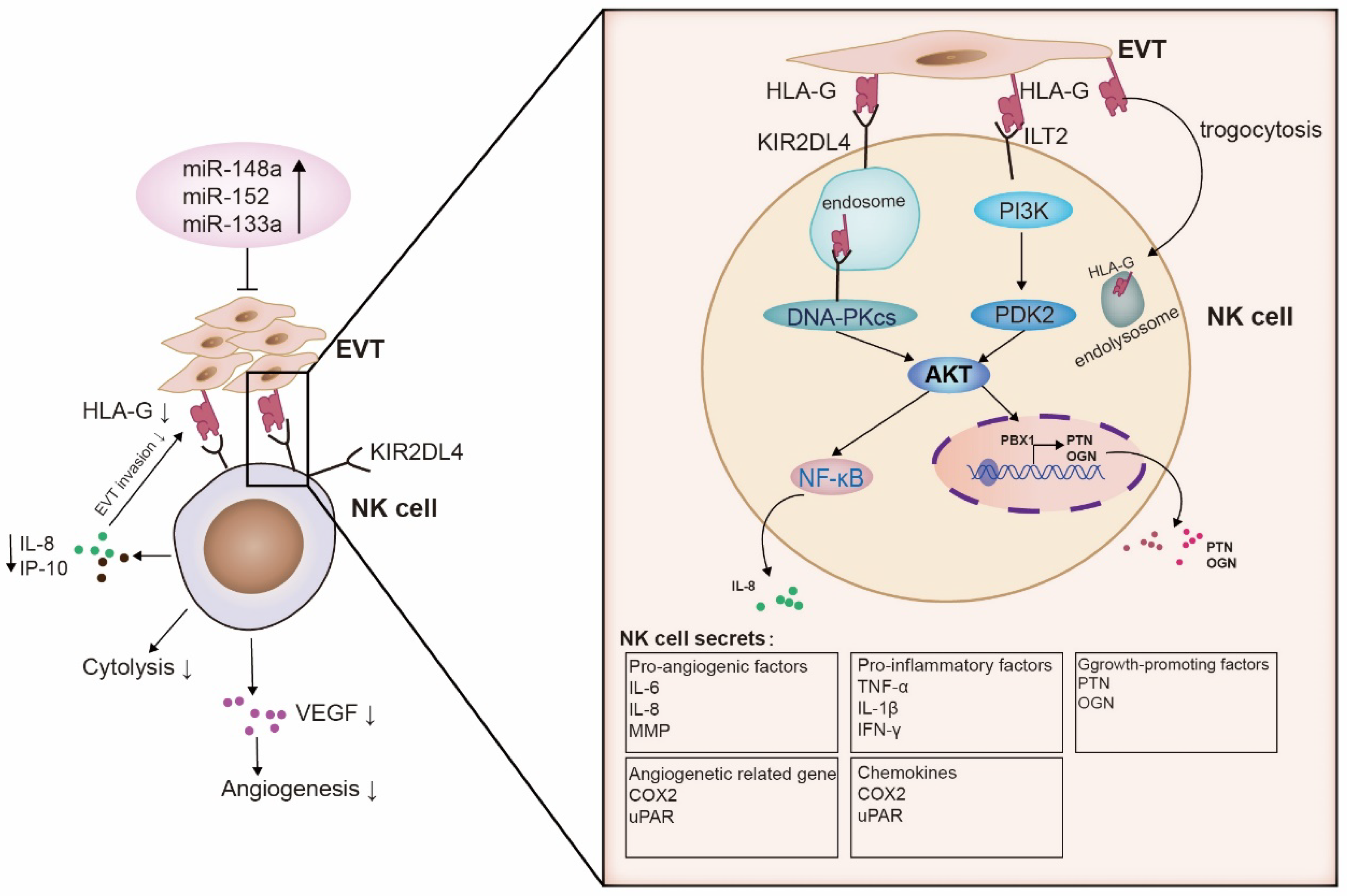 Biomolecules 13 01213 g002