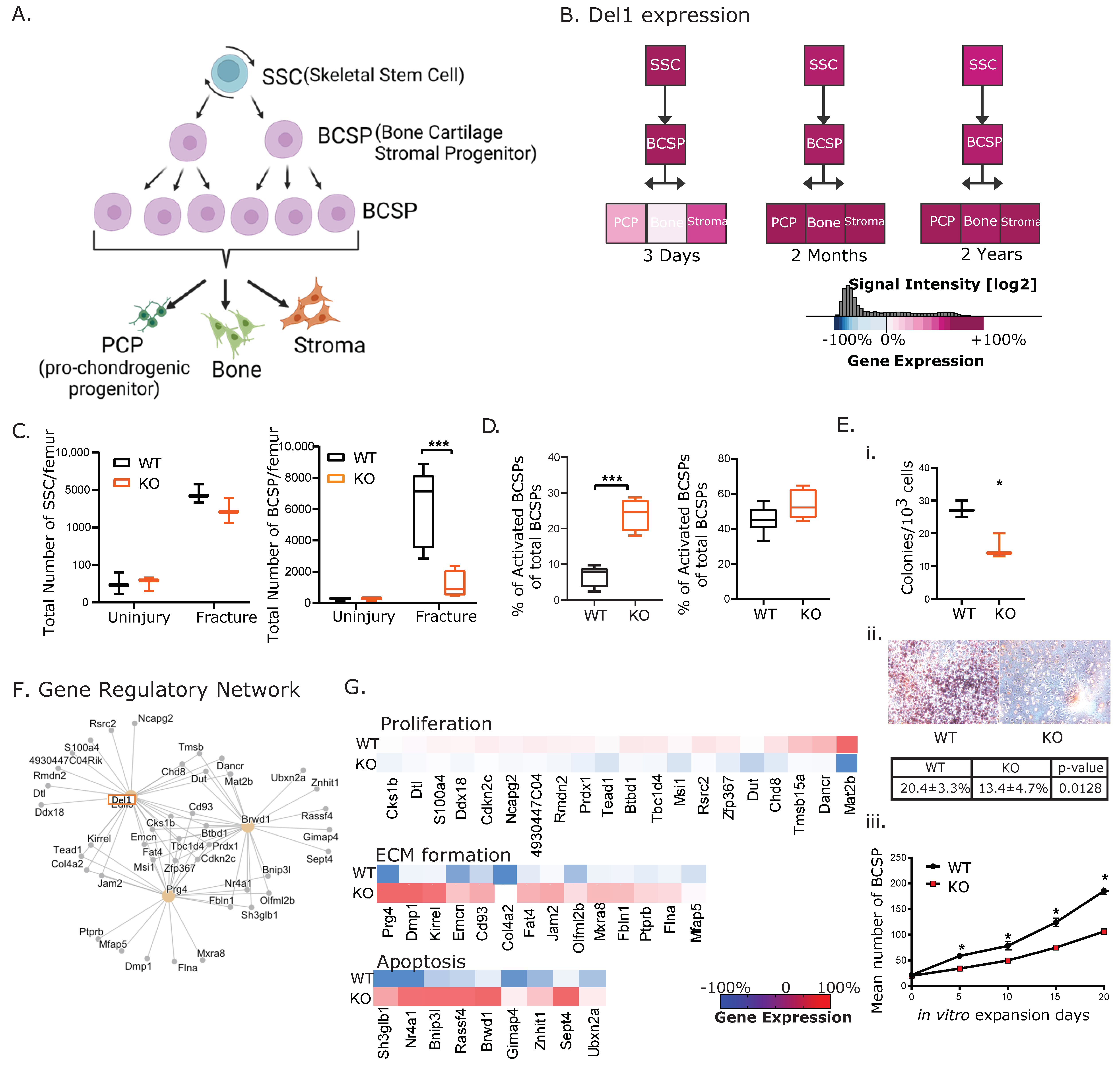 Biomolecules 13 01214 g002