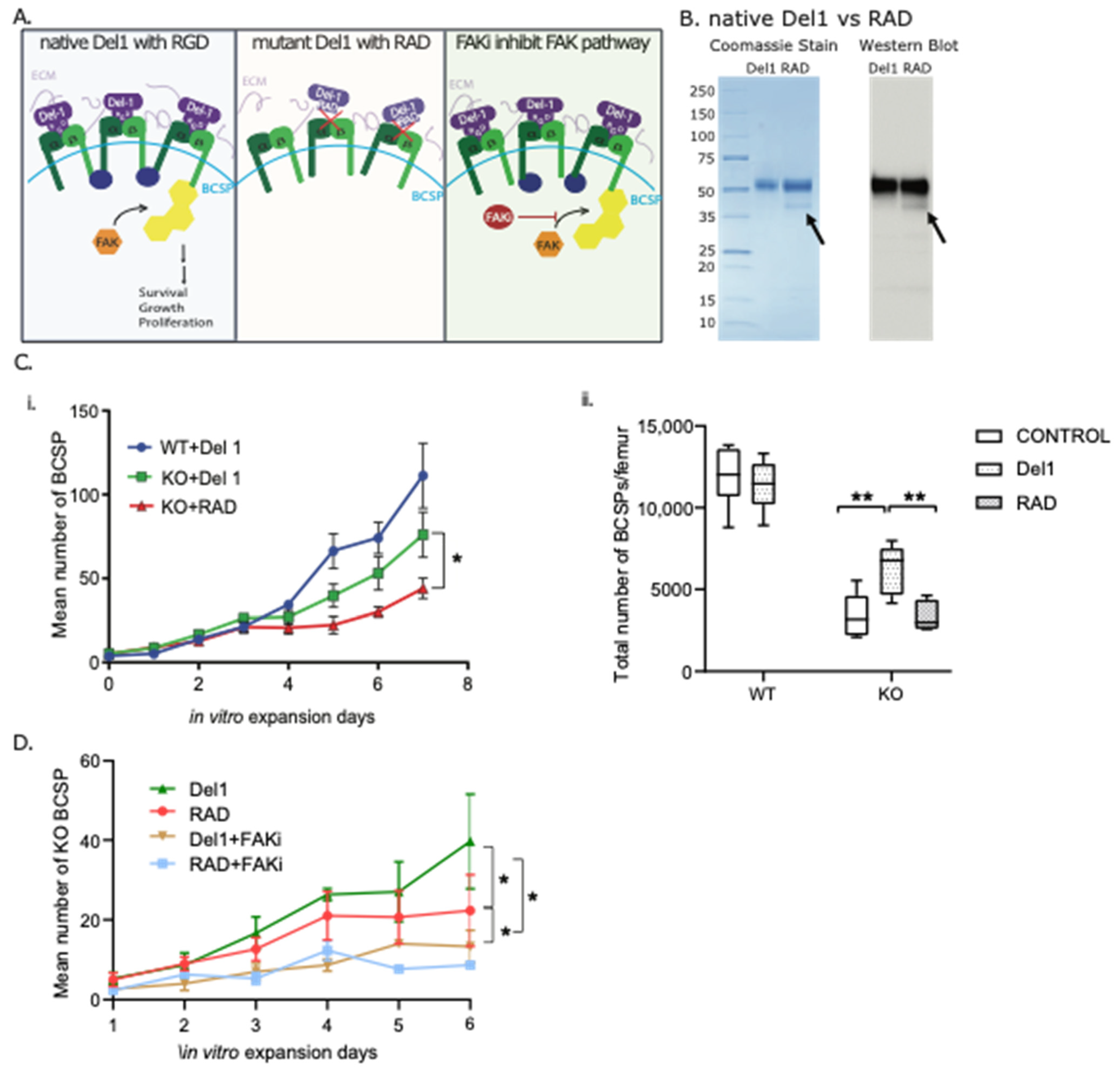 Biomolecules 13 01214 g003