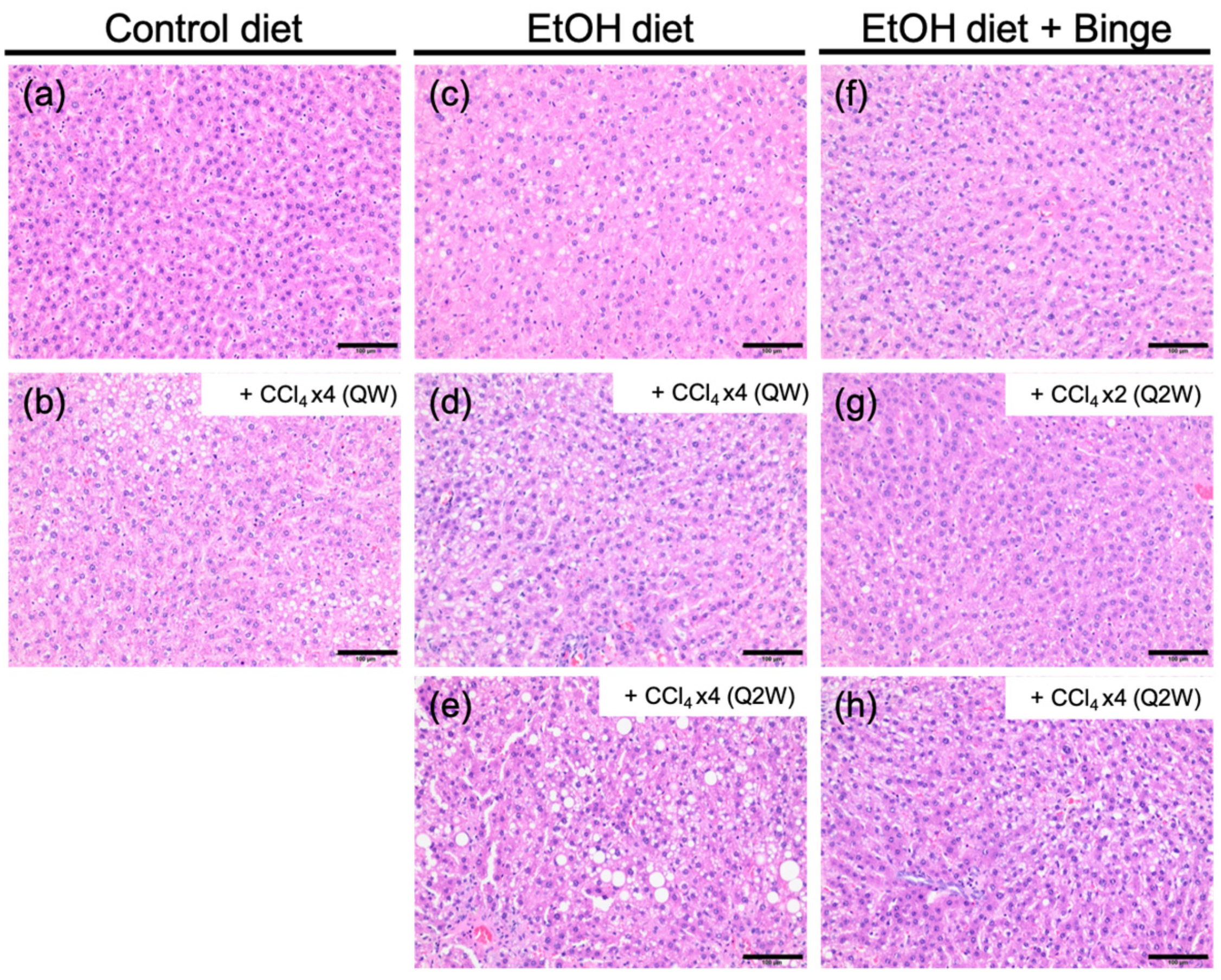 Biomolecules 13 01293 g003