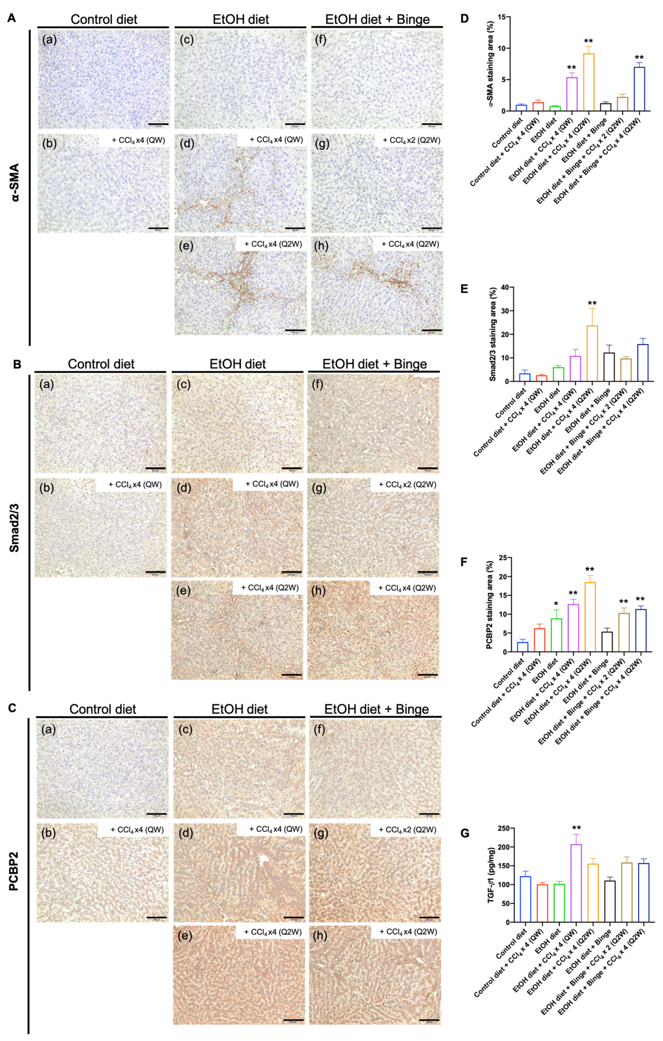 Biomolecules 13 01293 g006