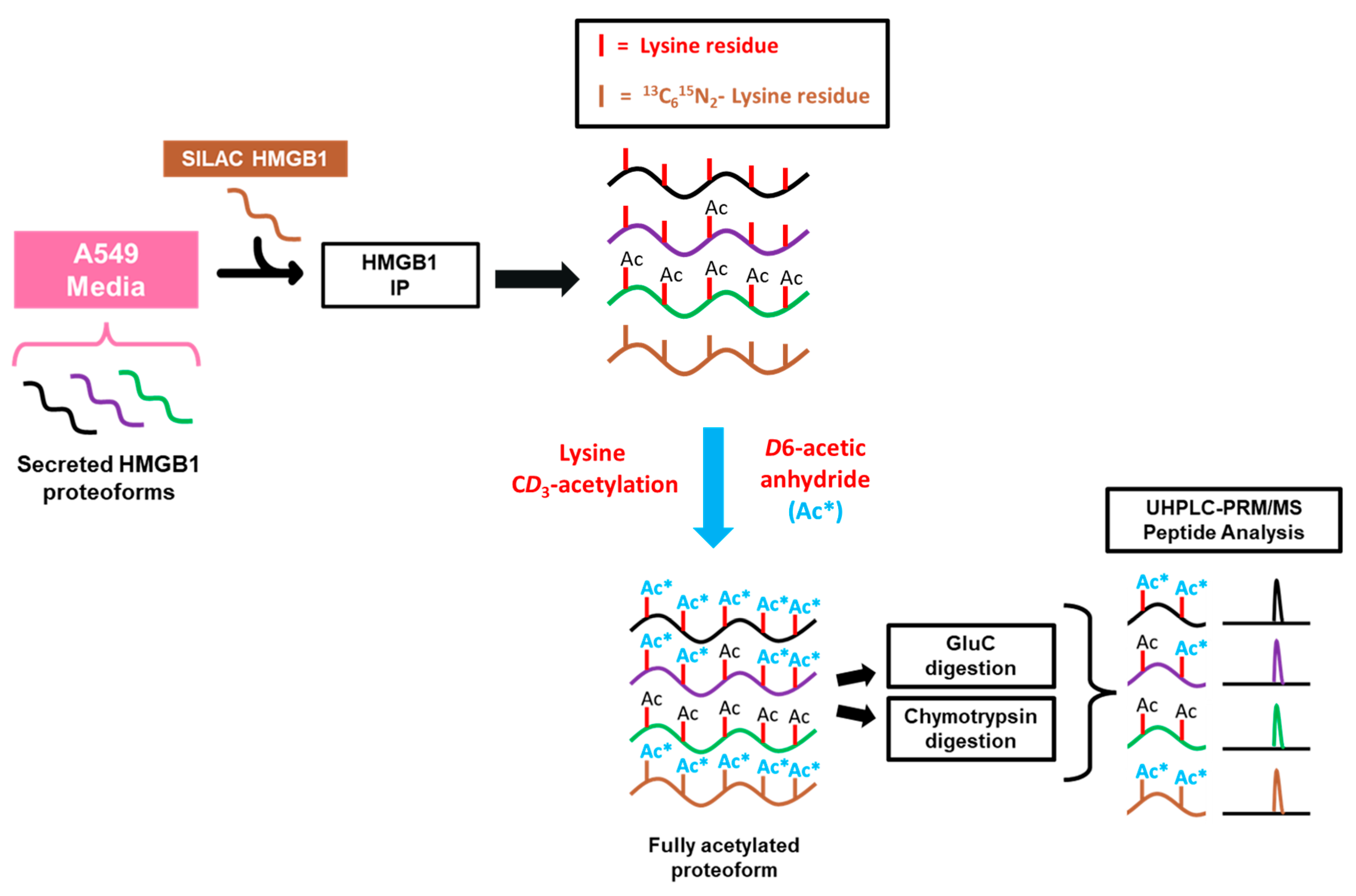 Biomolecules 13 01335 sch001