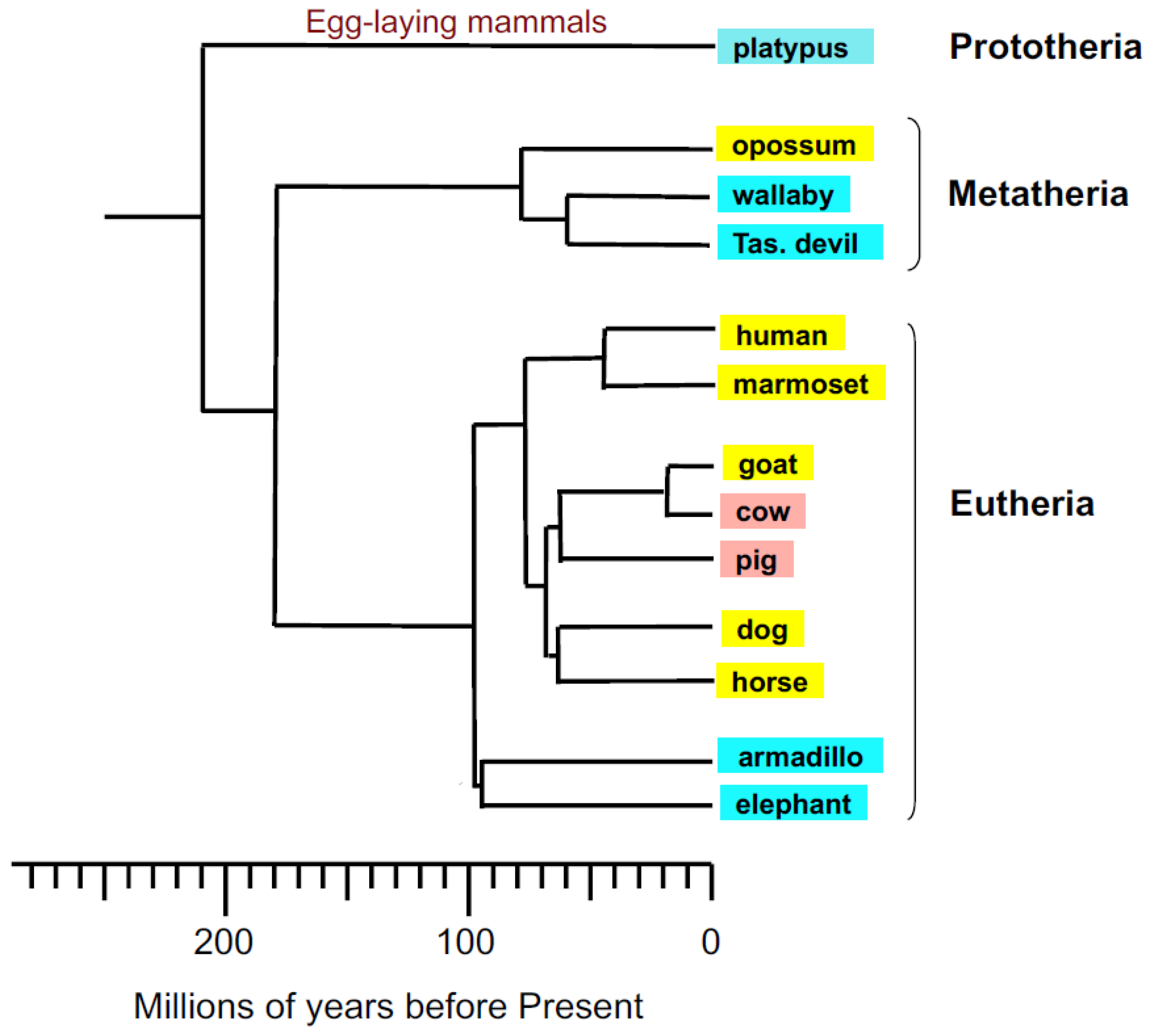 Biomolecules 13 01420 g001