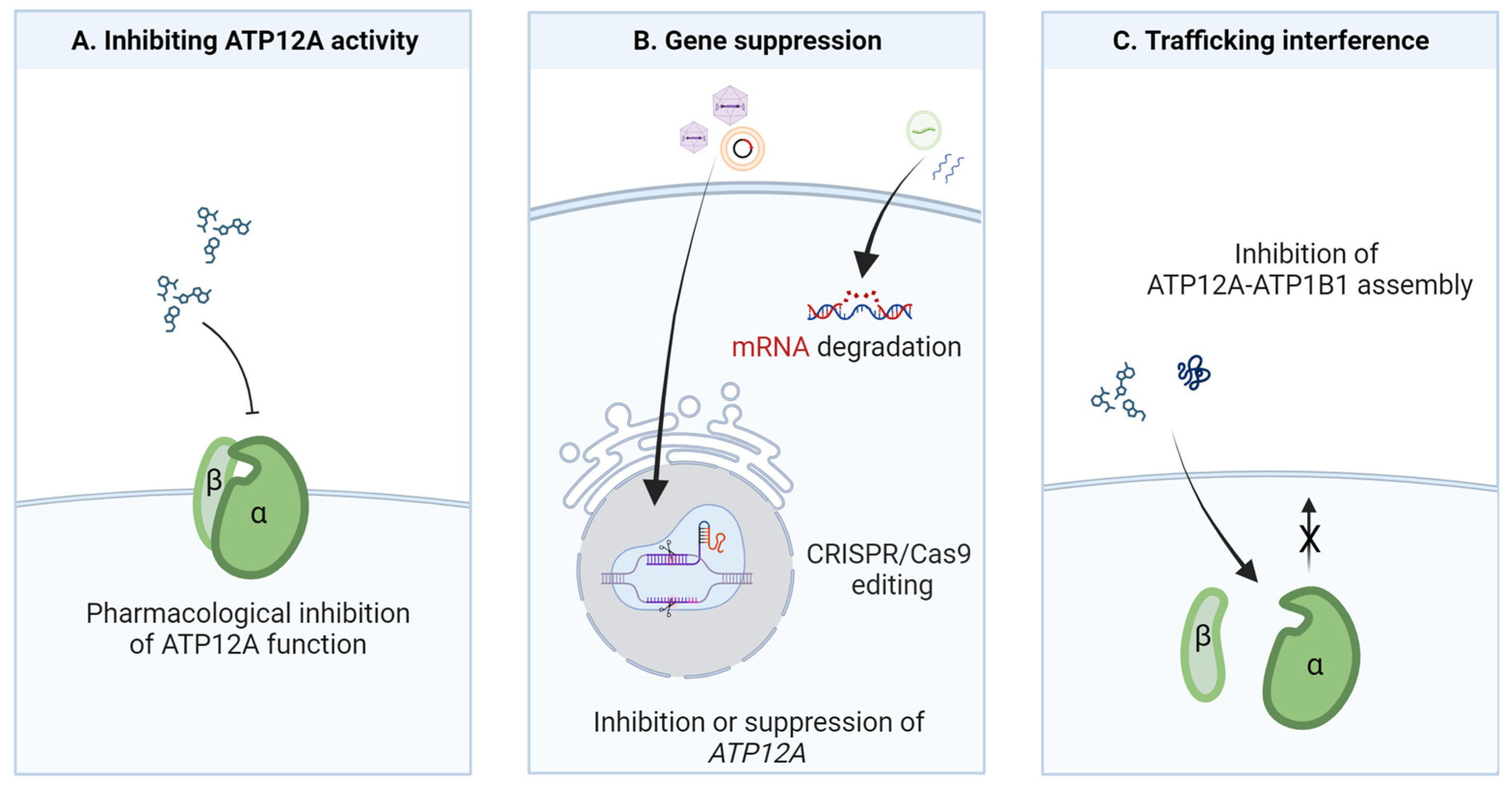 Biomolecules 13 01455 g002 Biomolecules 13 01455 g002