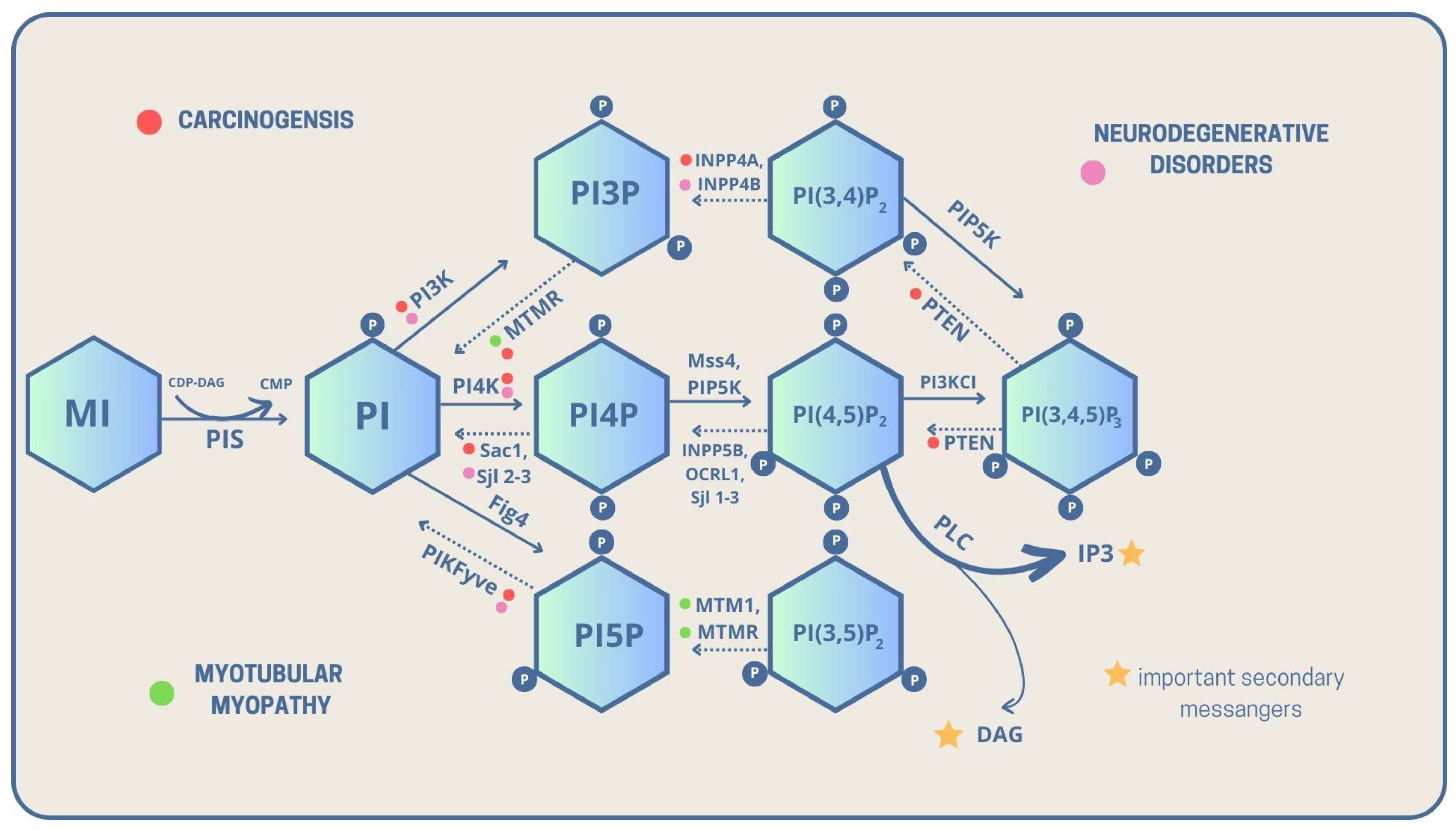 Biomolecules 13 01550 g001