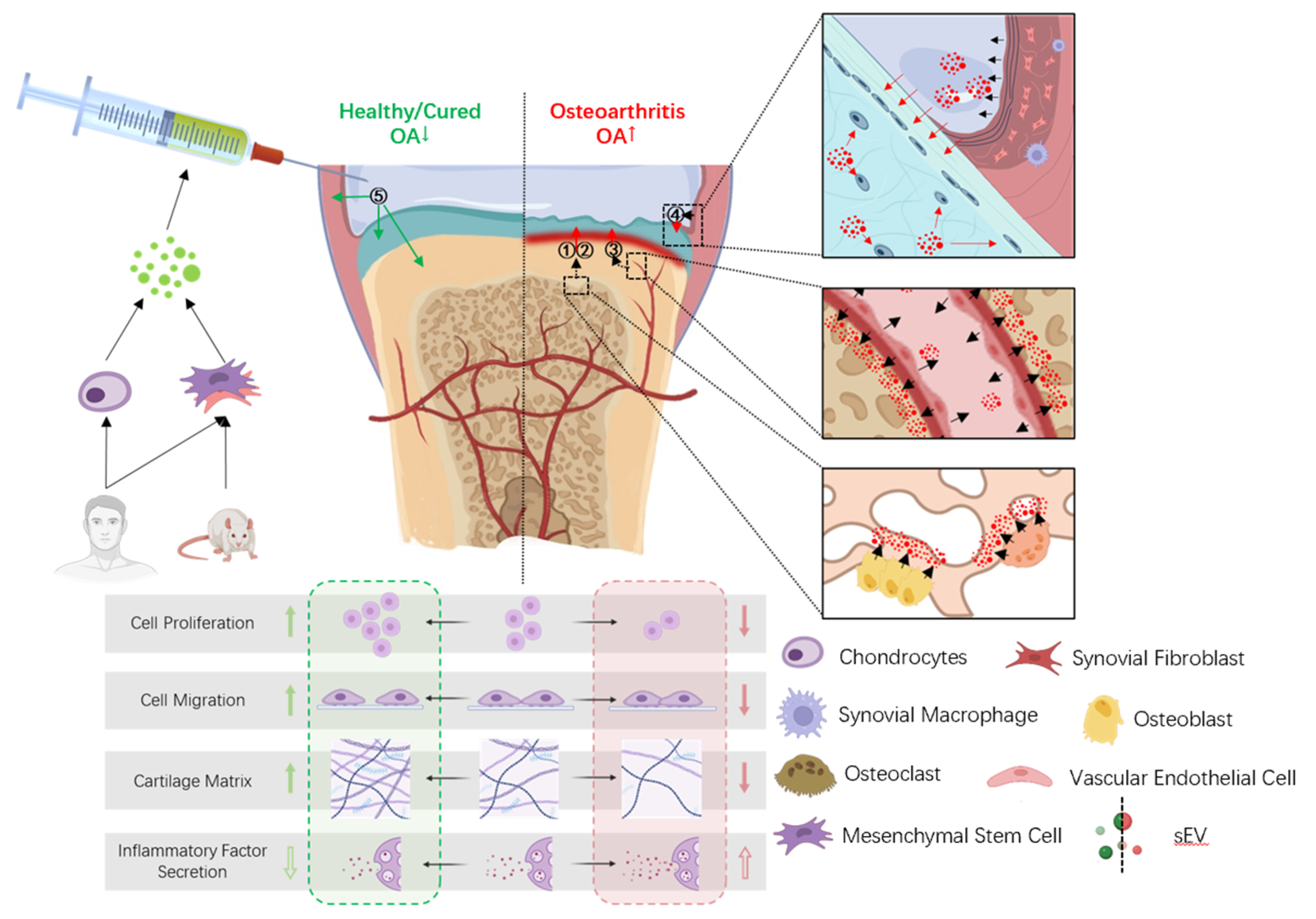 Biomolecules 13 01606 g001