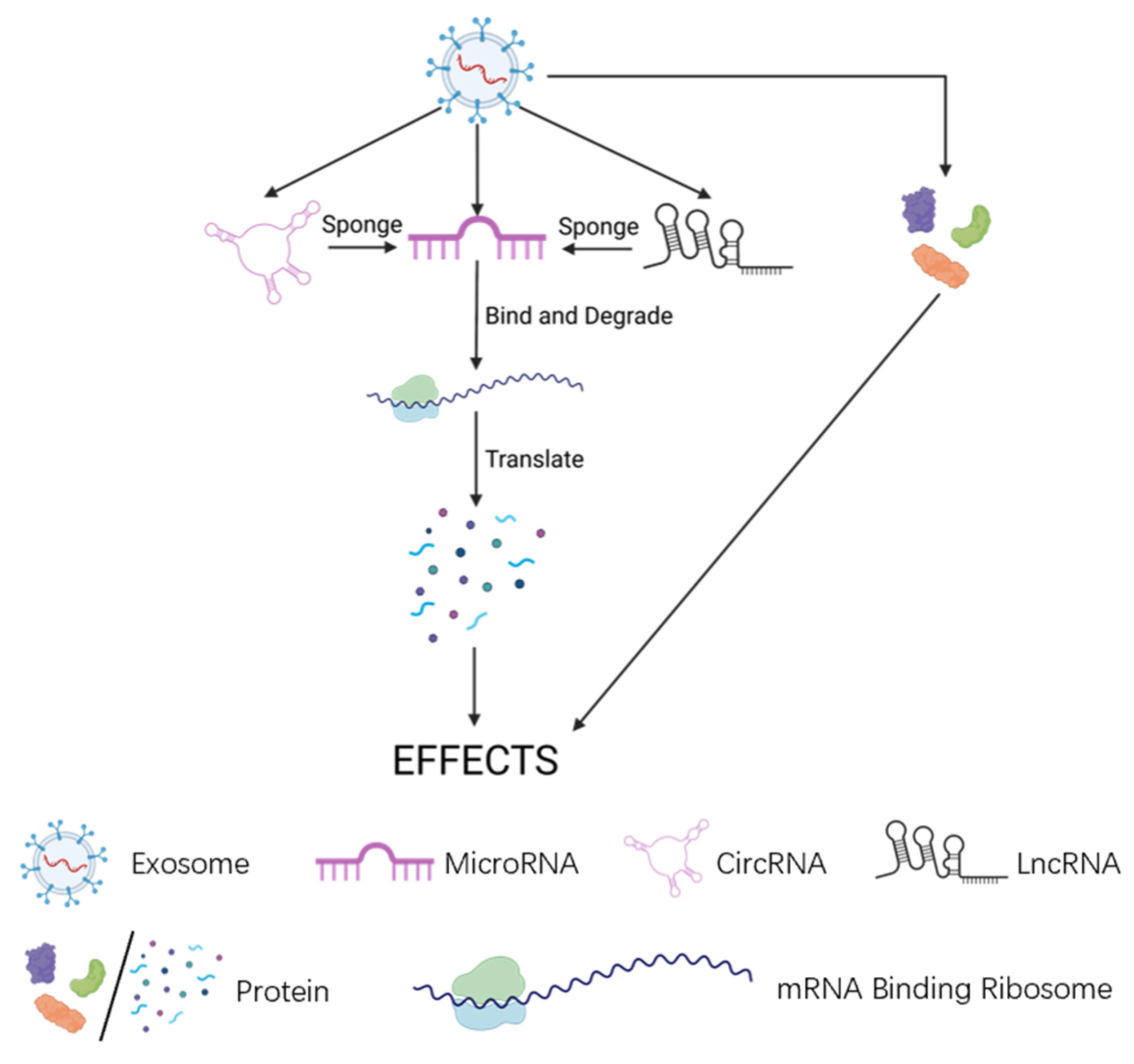 Biomolecules 13 01606 g002