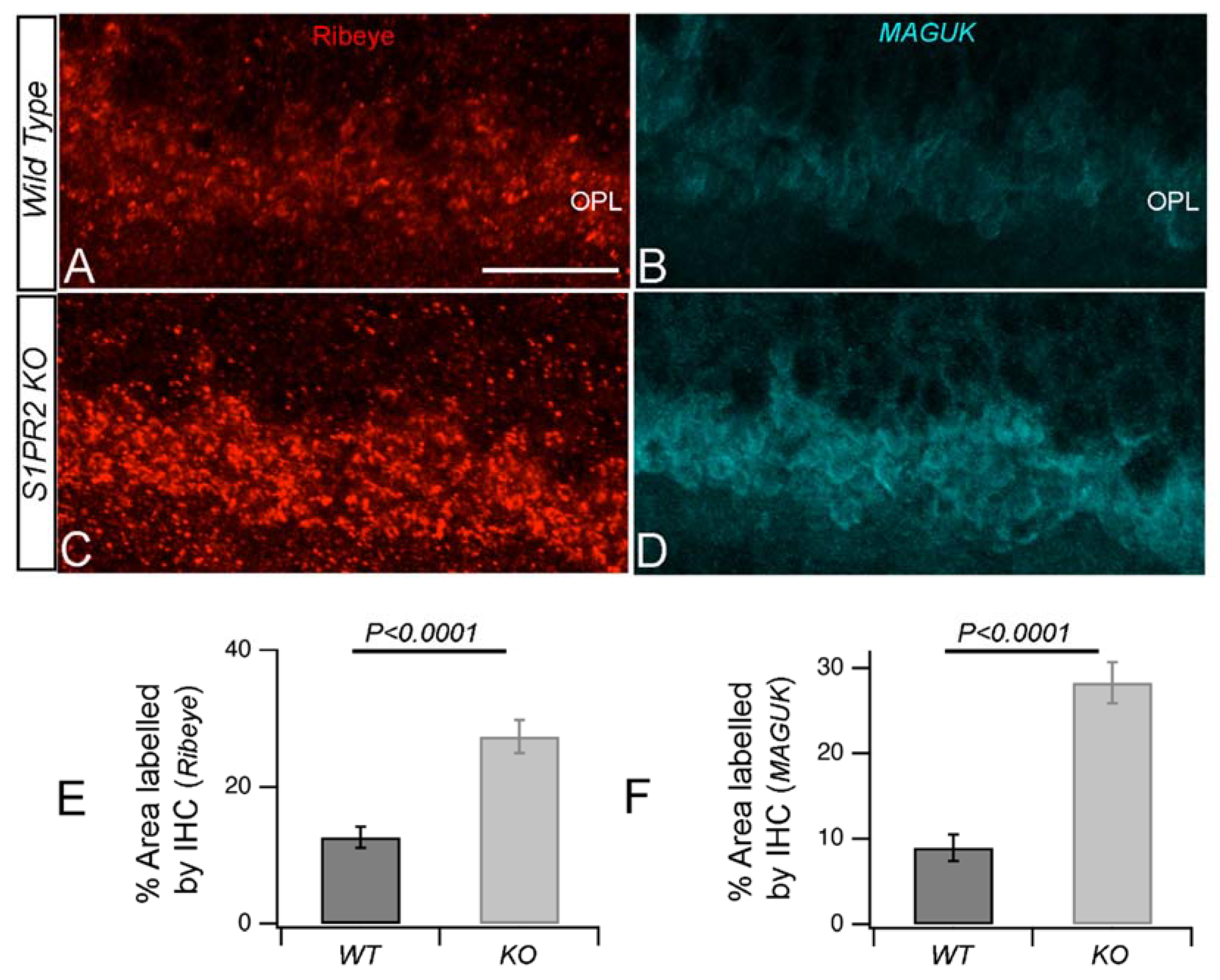 Biomolecules 13 01691 g005