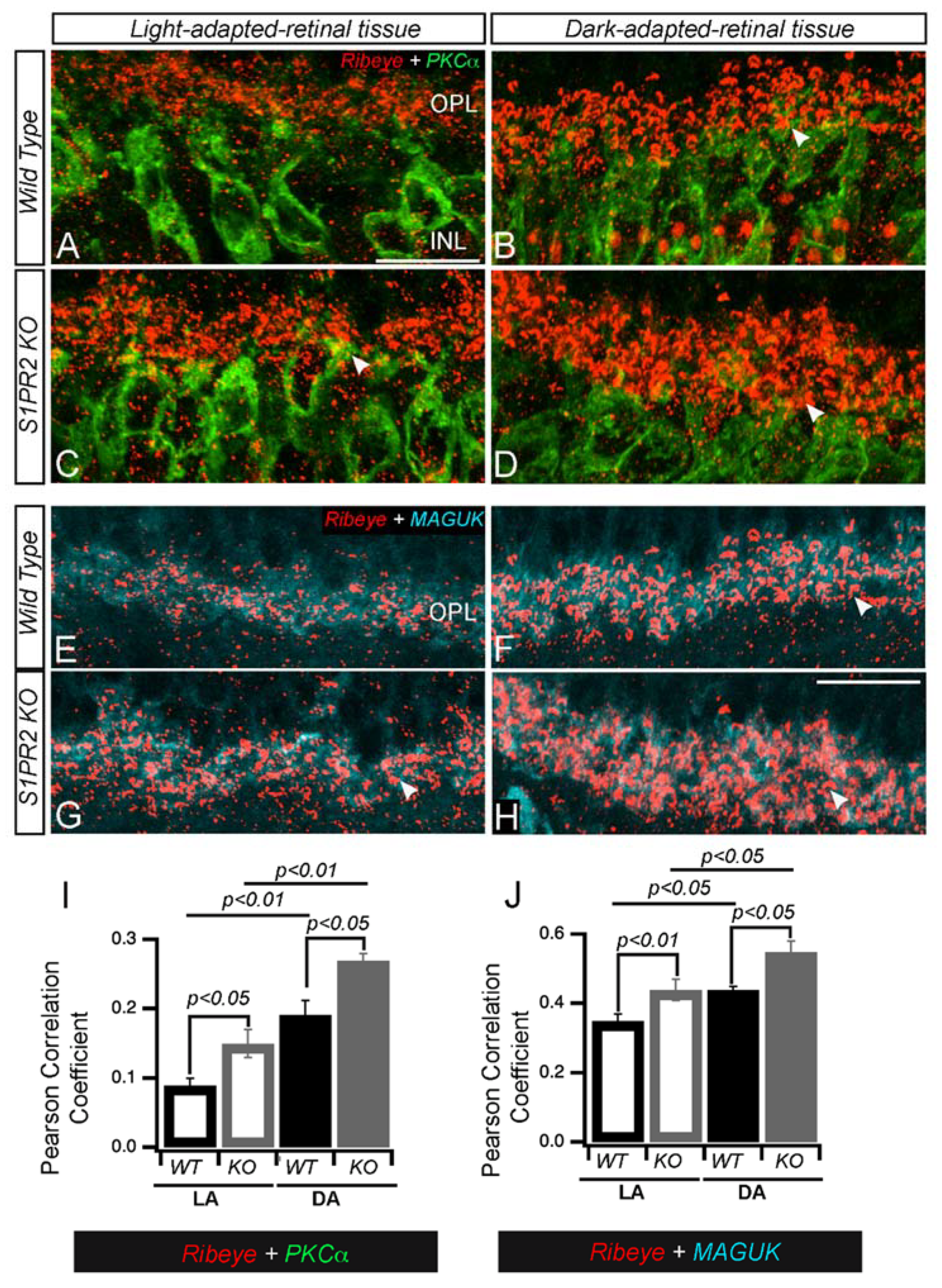Biomolecules 13 01691 g009