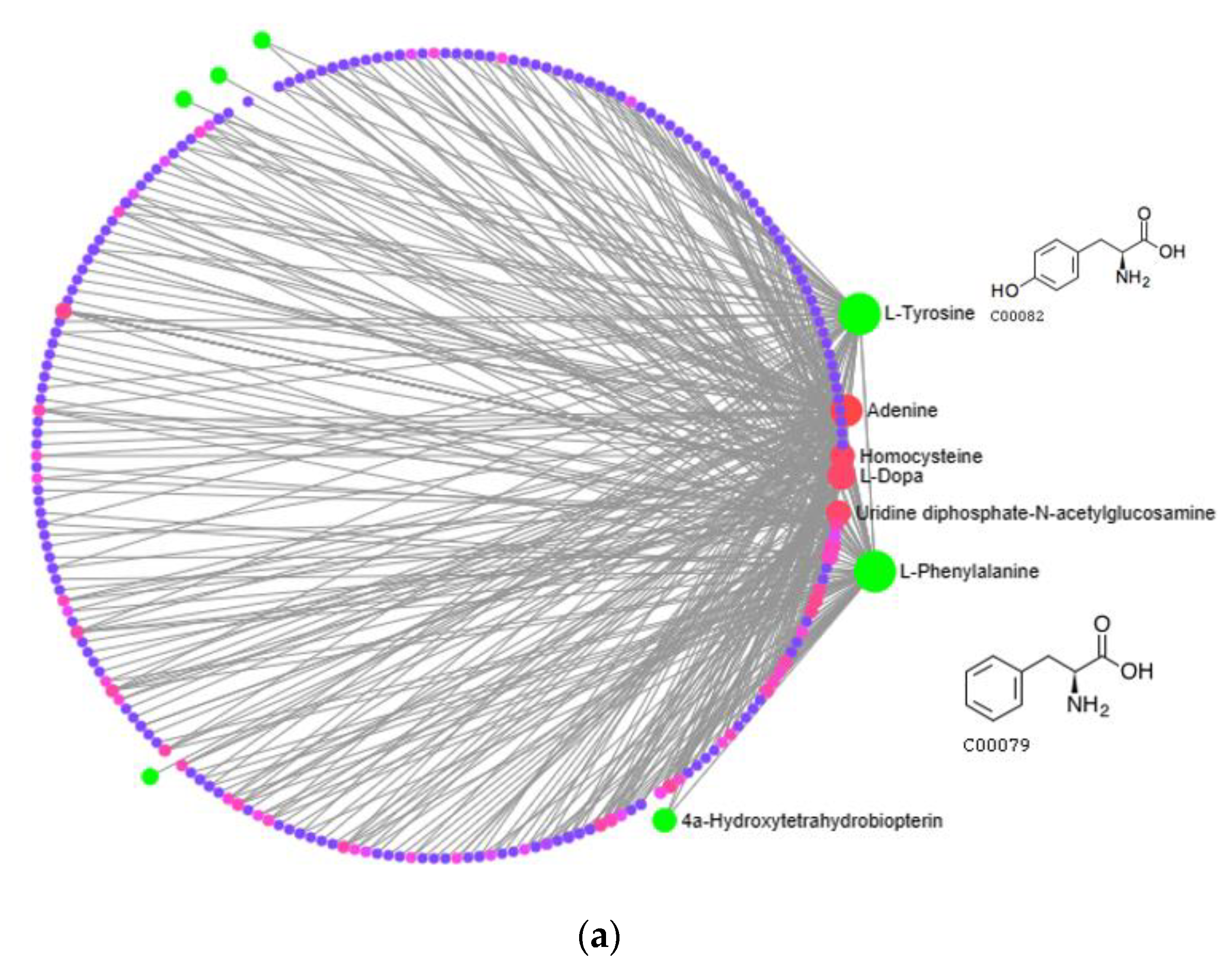 Biomolecules 13 01700 g005a