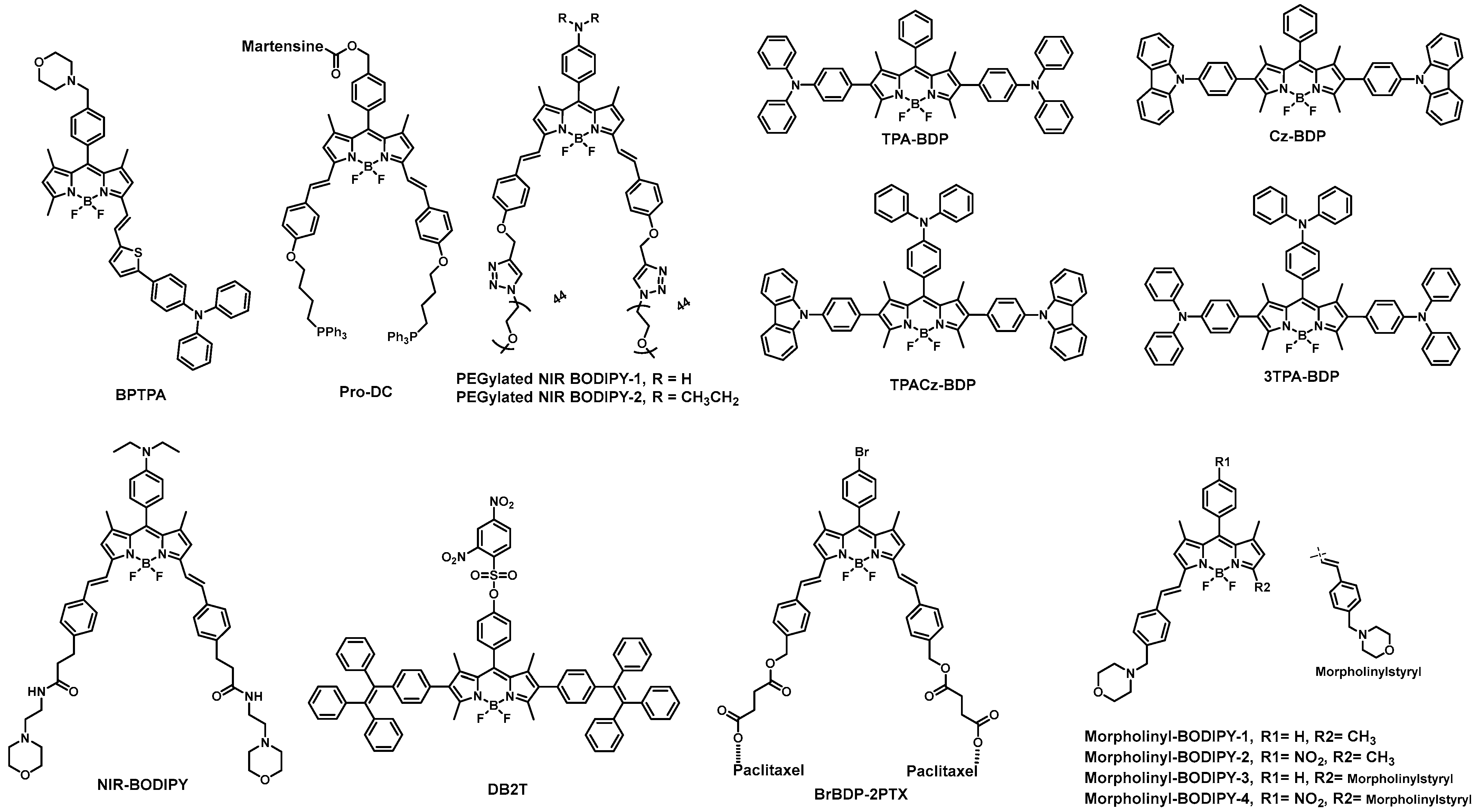 Biomolecules 13 01723 g005