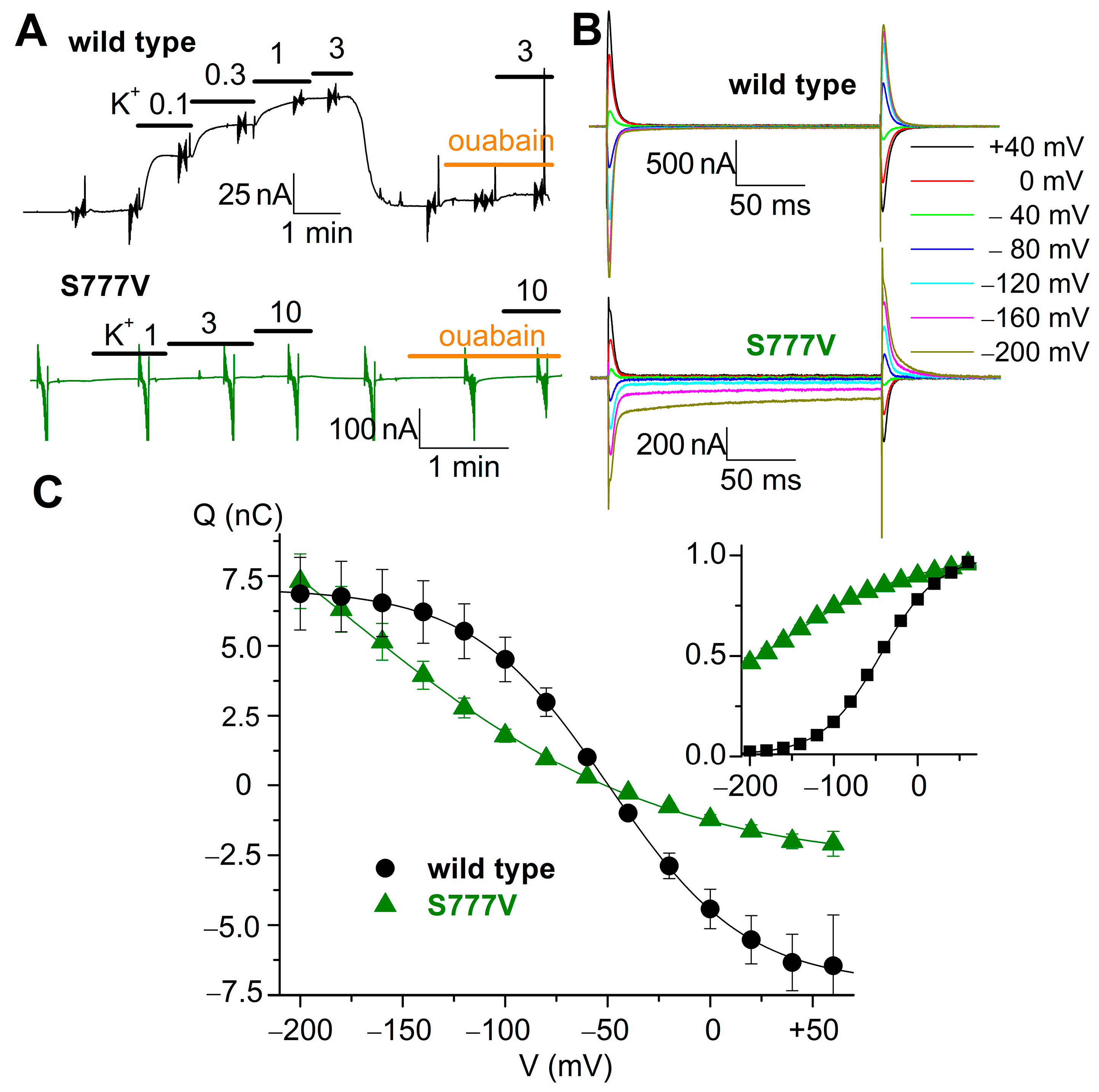 Biomolecules 14 00135 g007