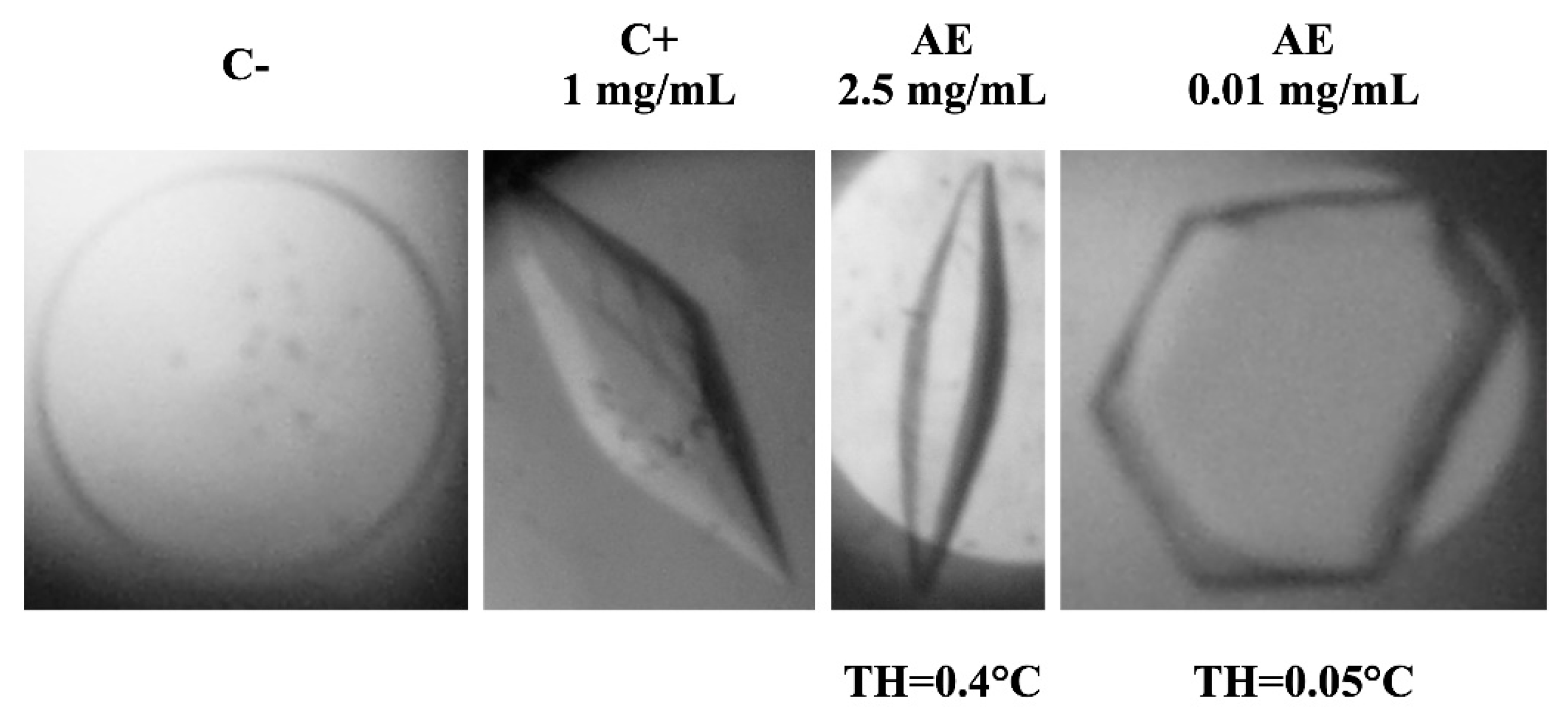 Biomolecules 14 00174 g002