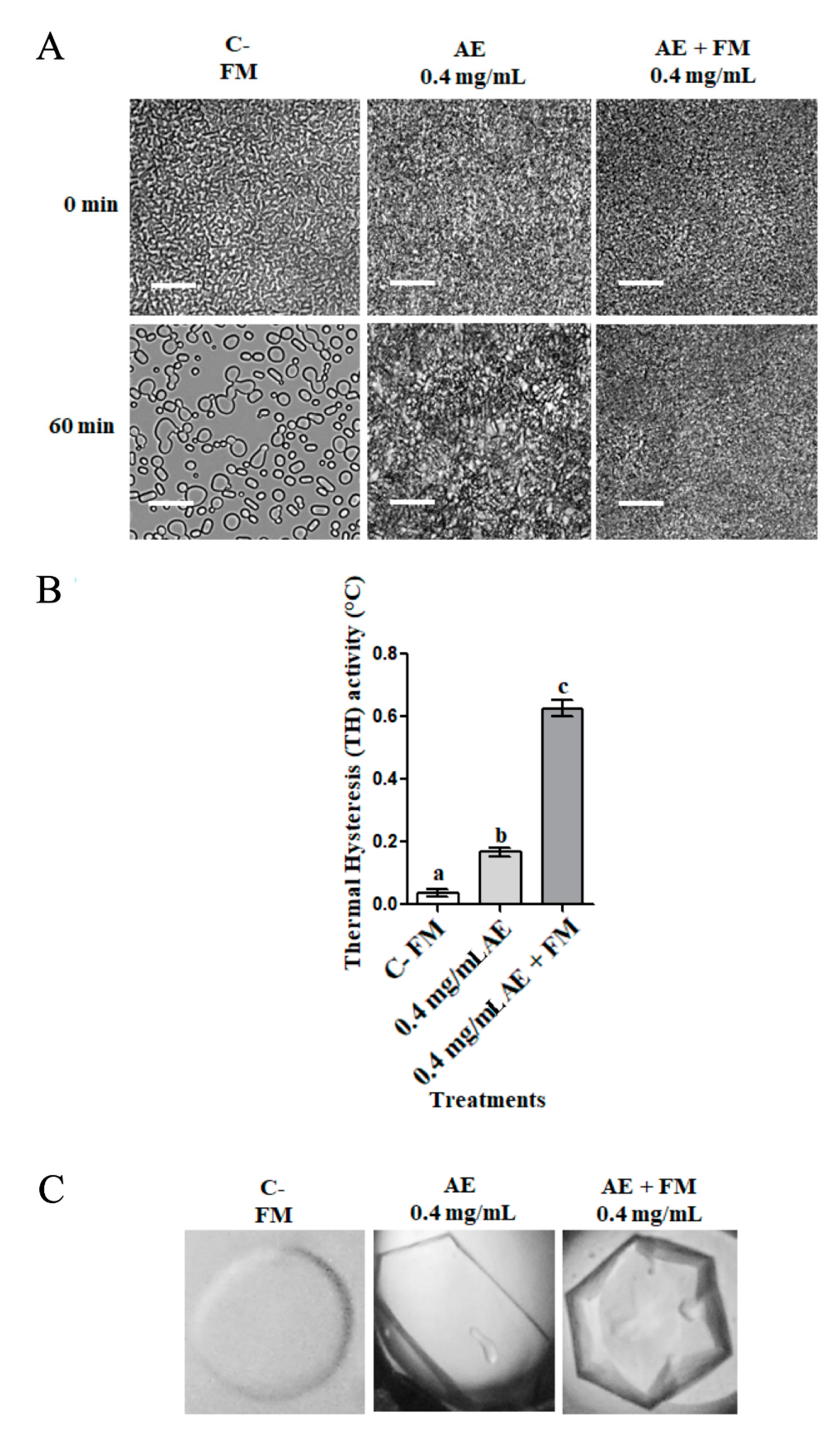 Biomolecules 14 00174 g003