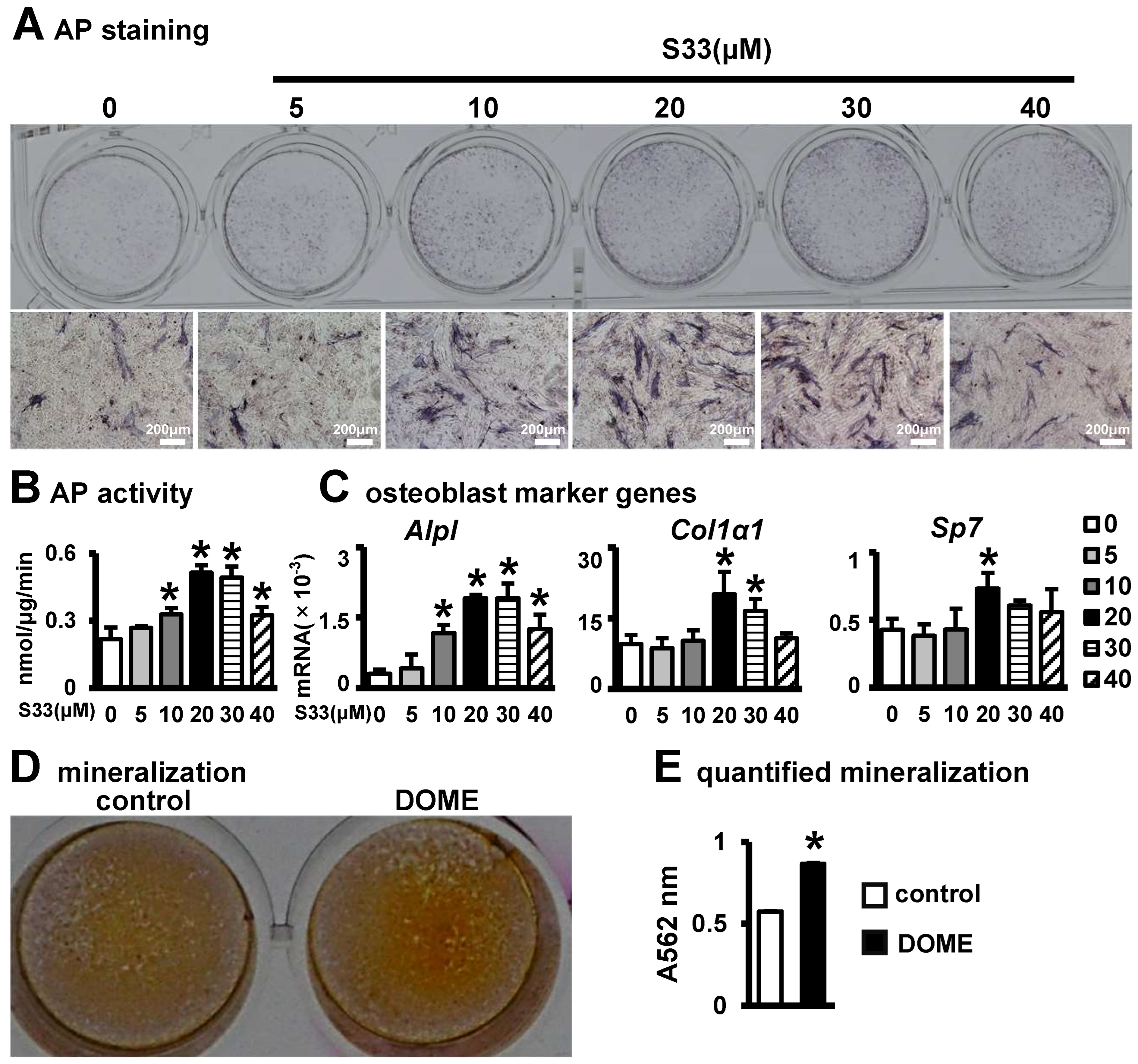Biomolecules 14 00354 g002