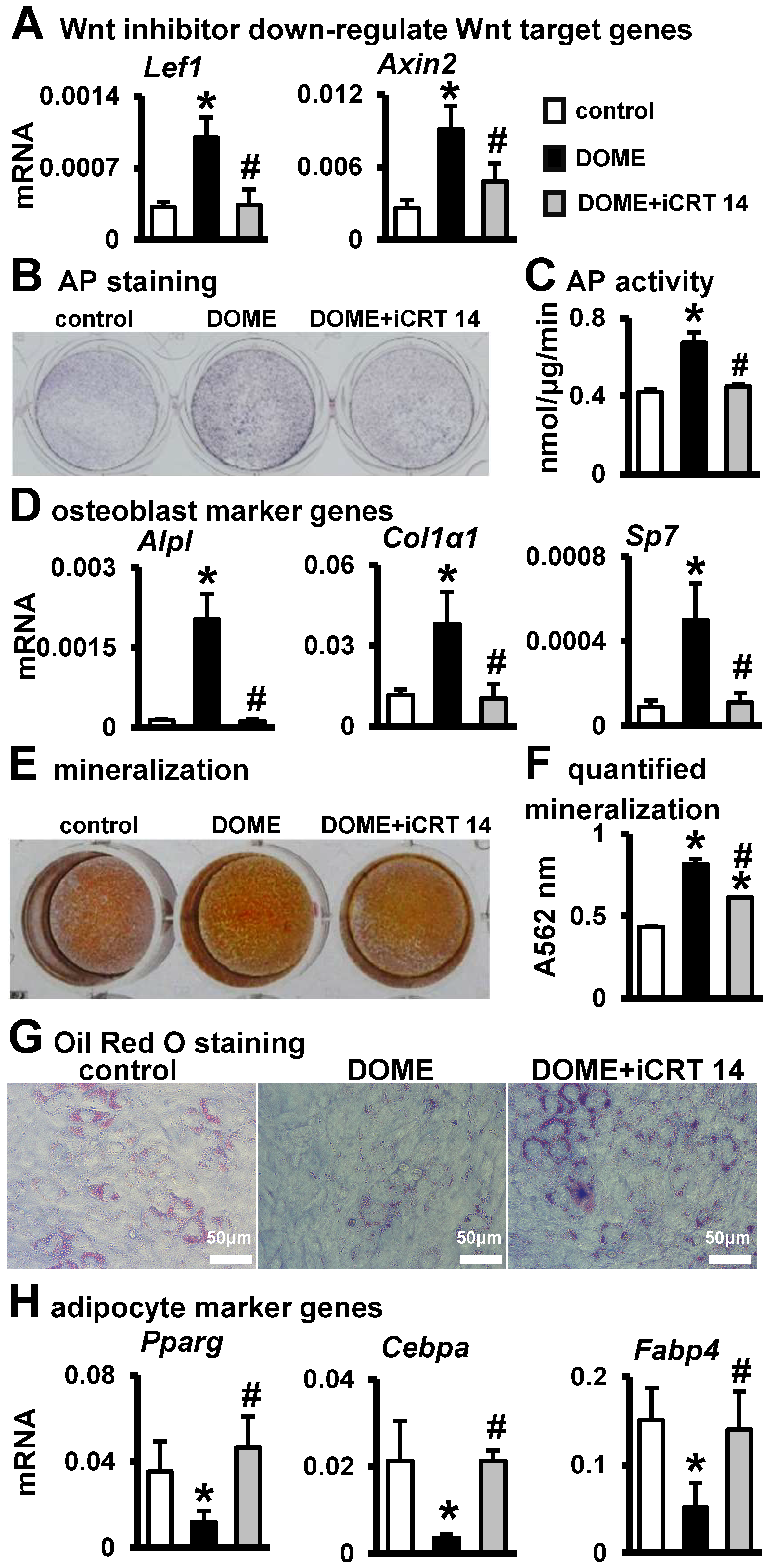 Biomolecules 14 00354 g005