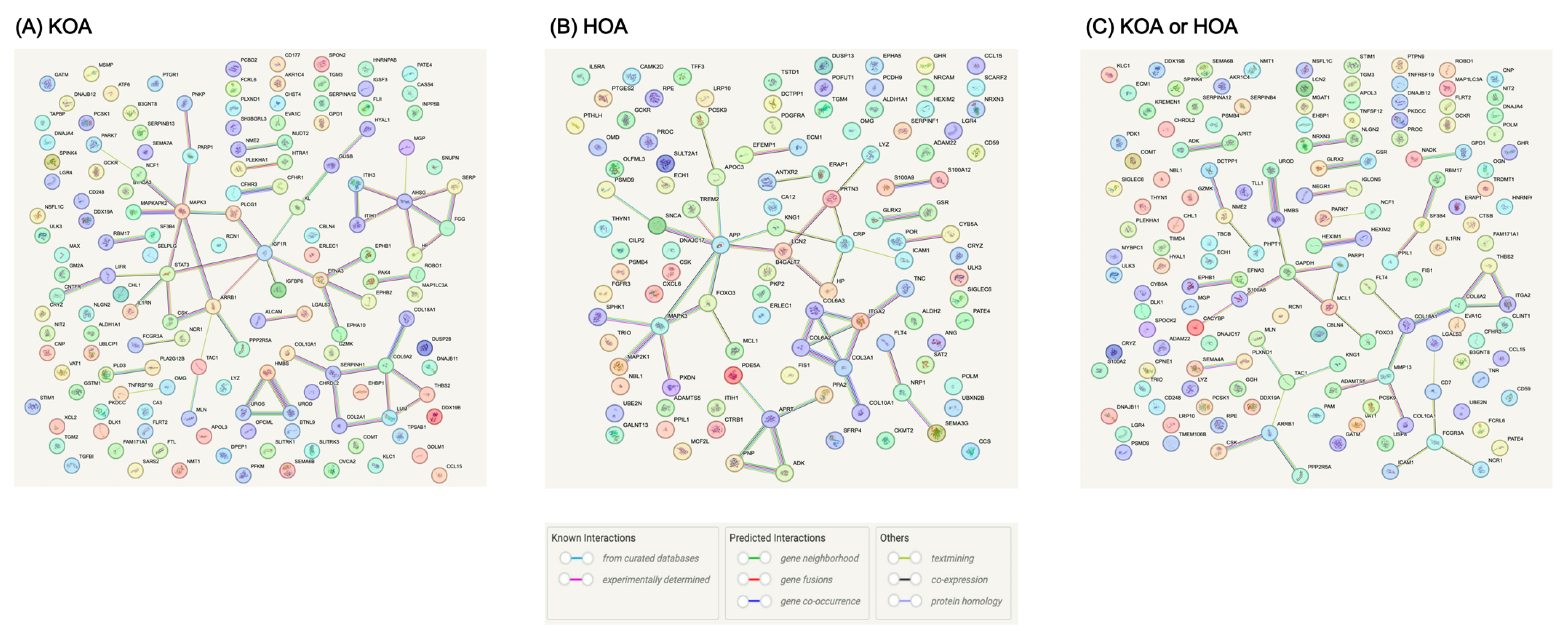 Biomolecules 14 00355 g004