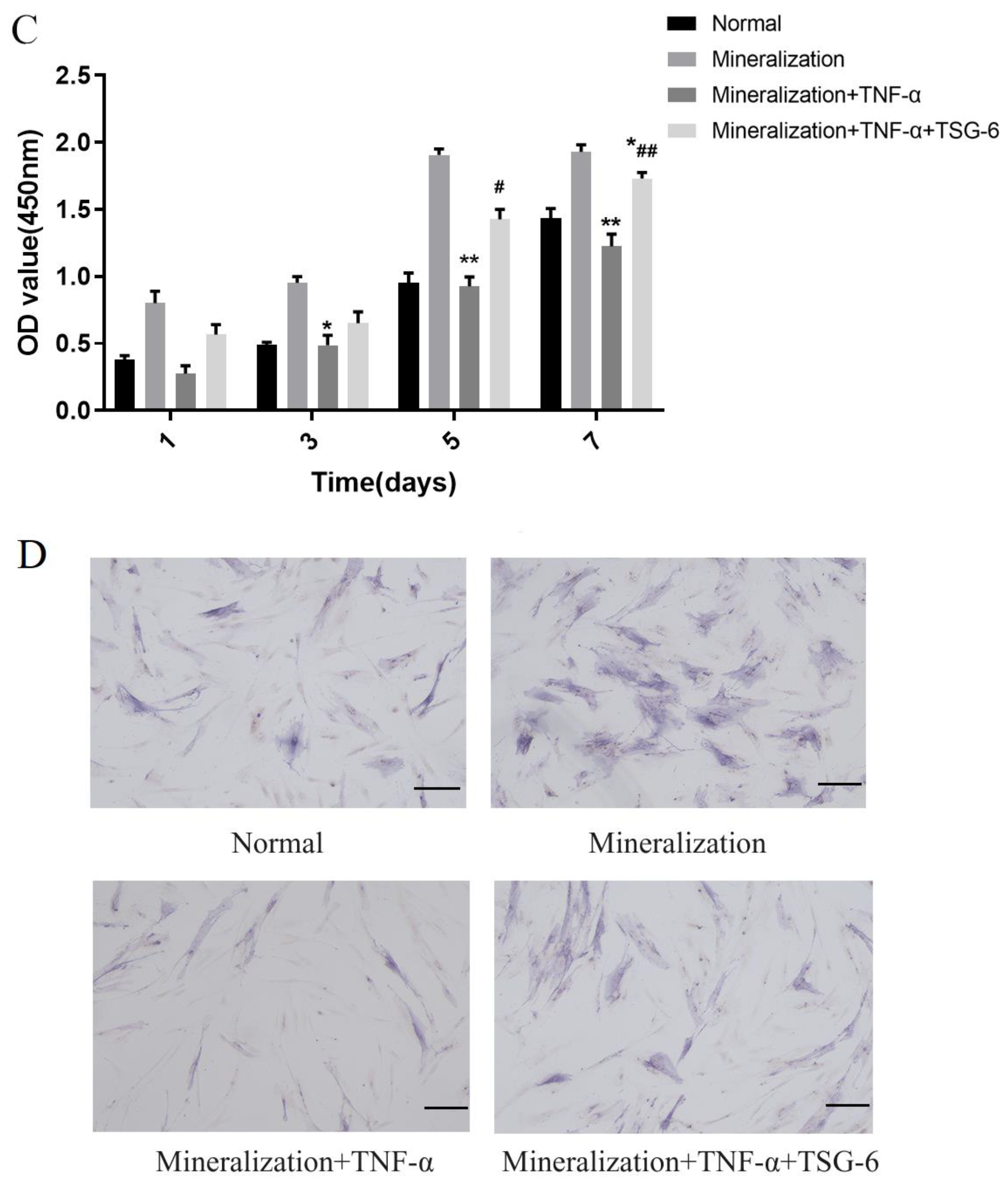 Biomolecules 14 00368 g002b