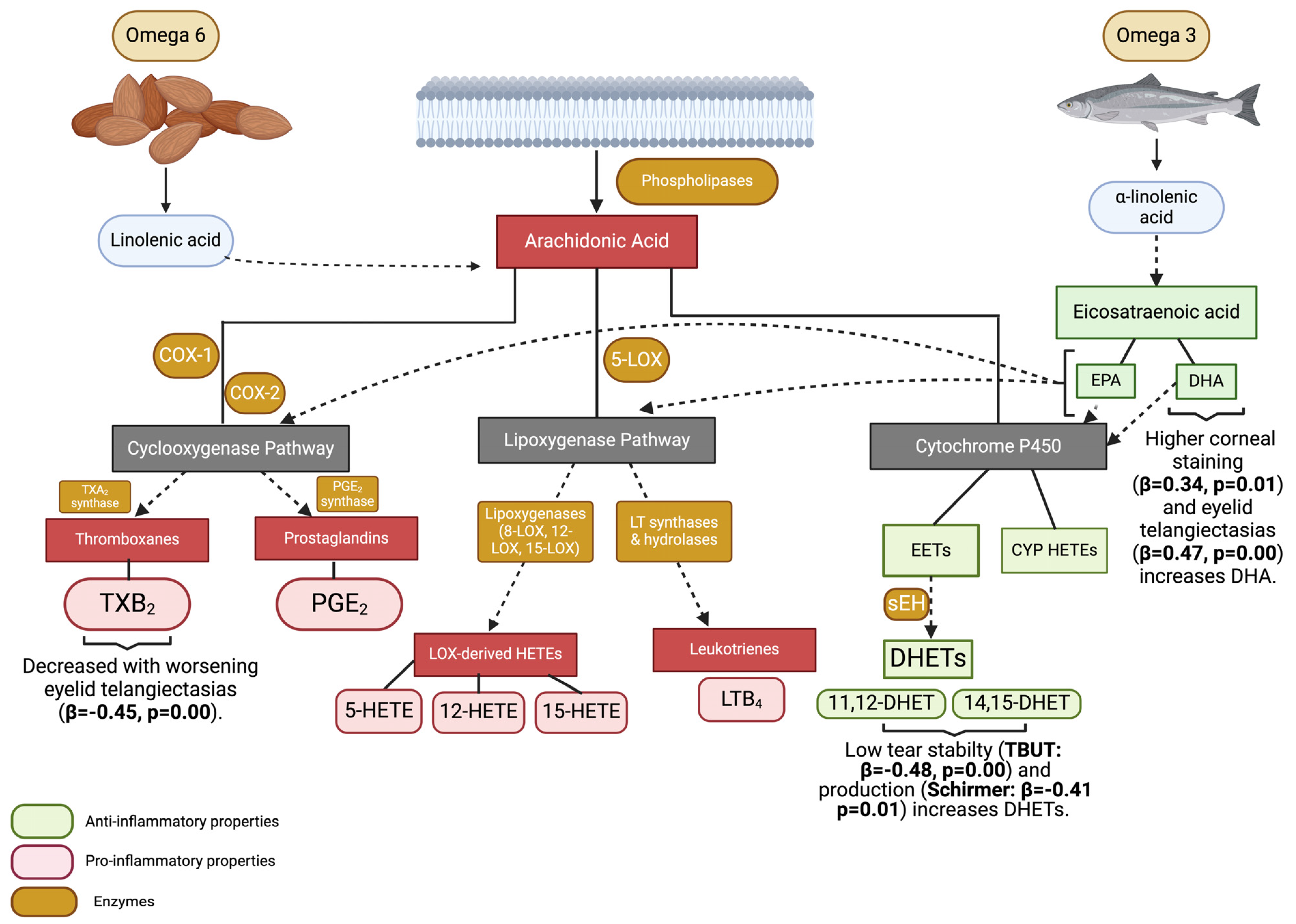 Biomolecules 14 00376 g001