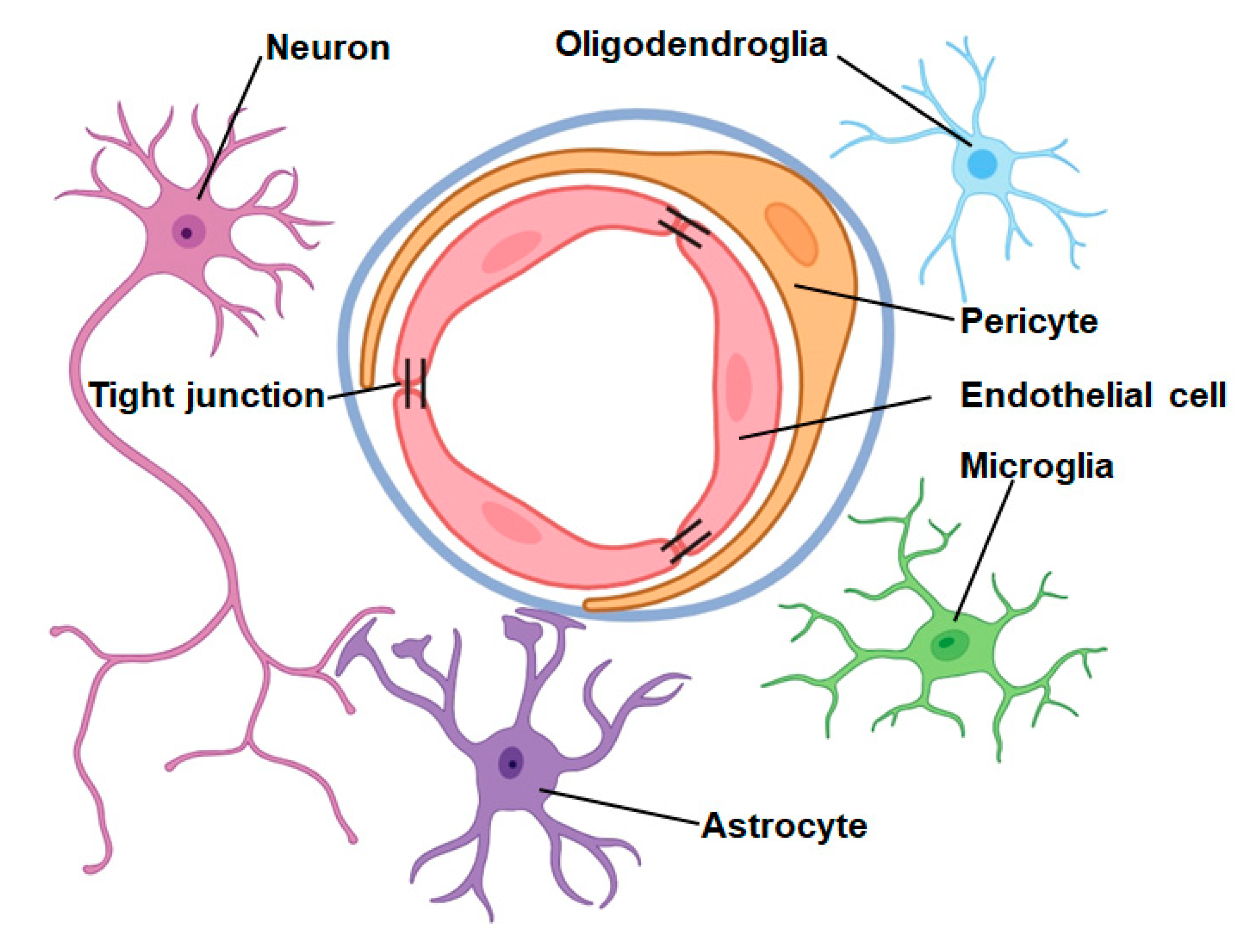 Biomolecules 14 00378 g001