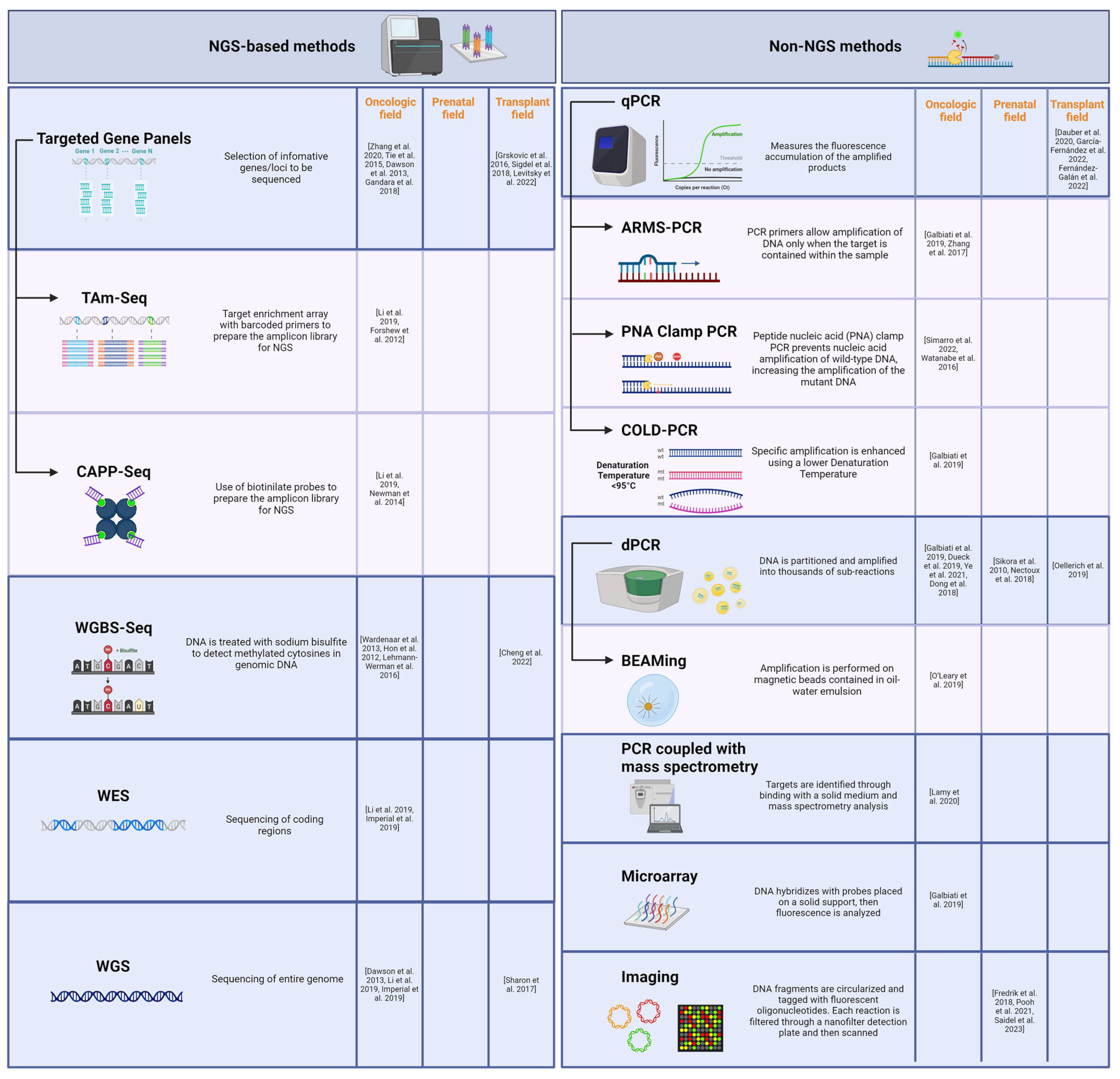 Biomolecules 14 00498 g001