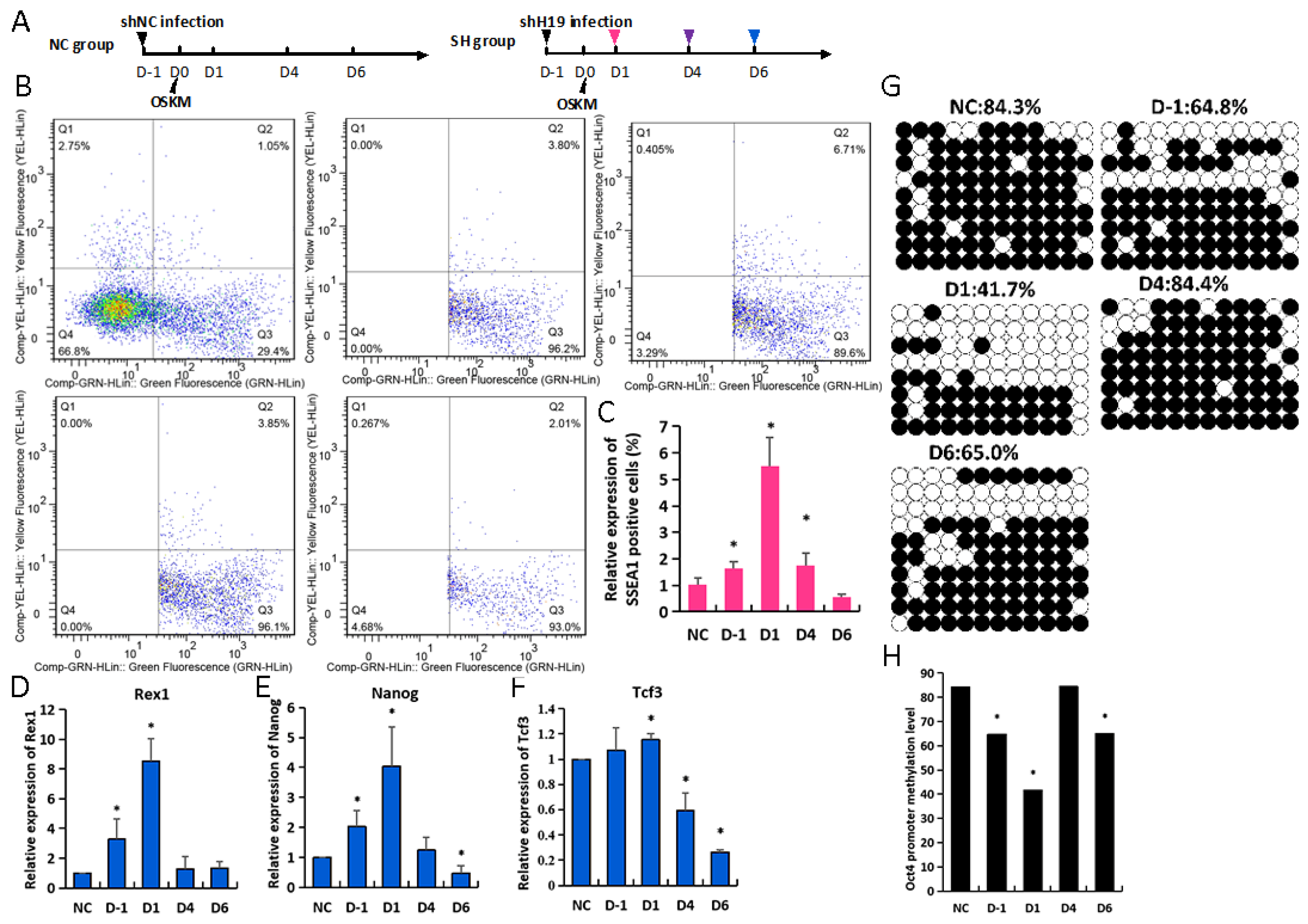 Biomolecules 14 00509 g003