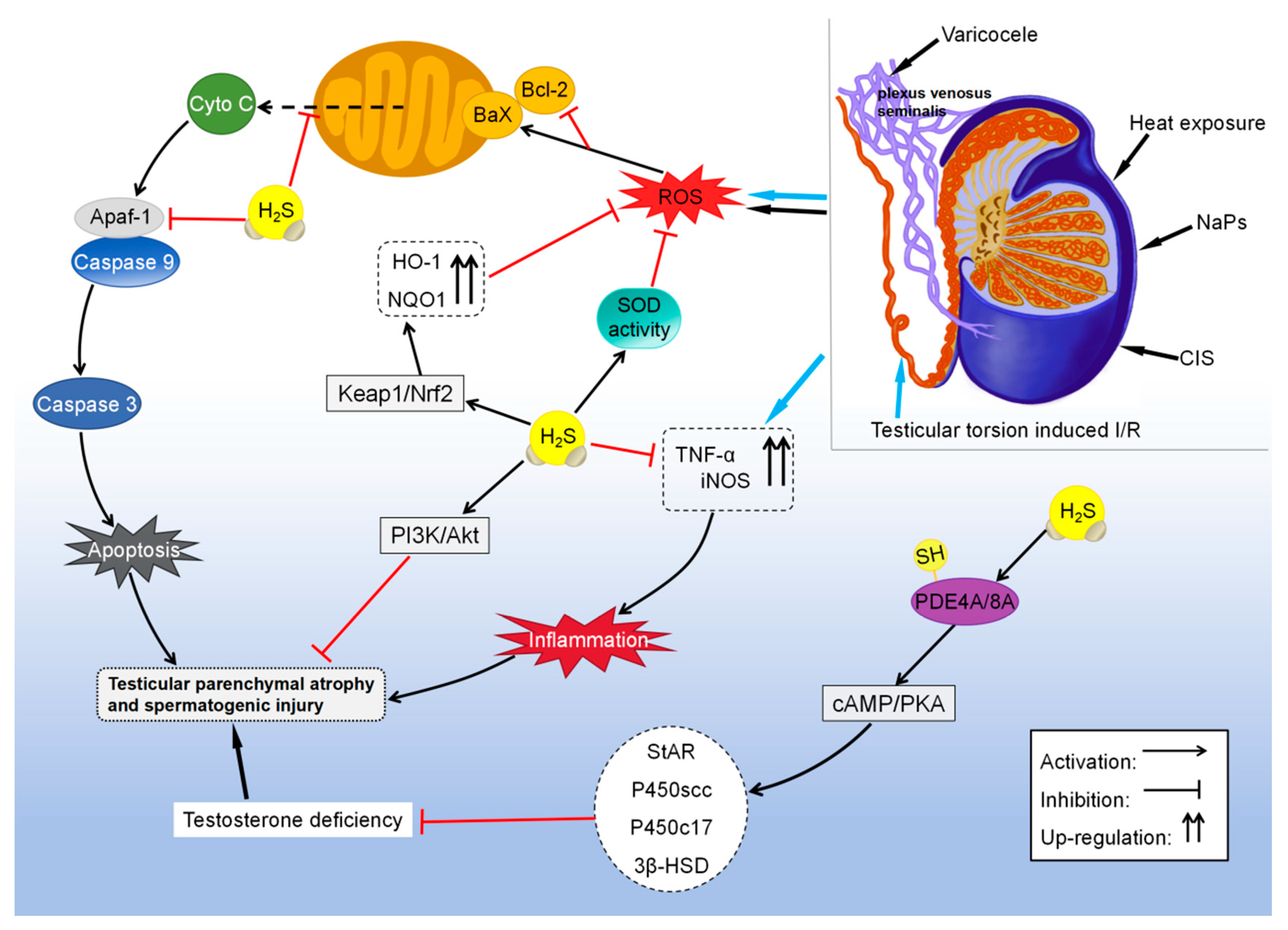 Biomolecules 14 00540 g005