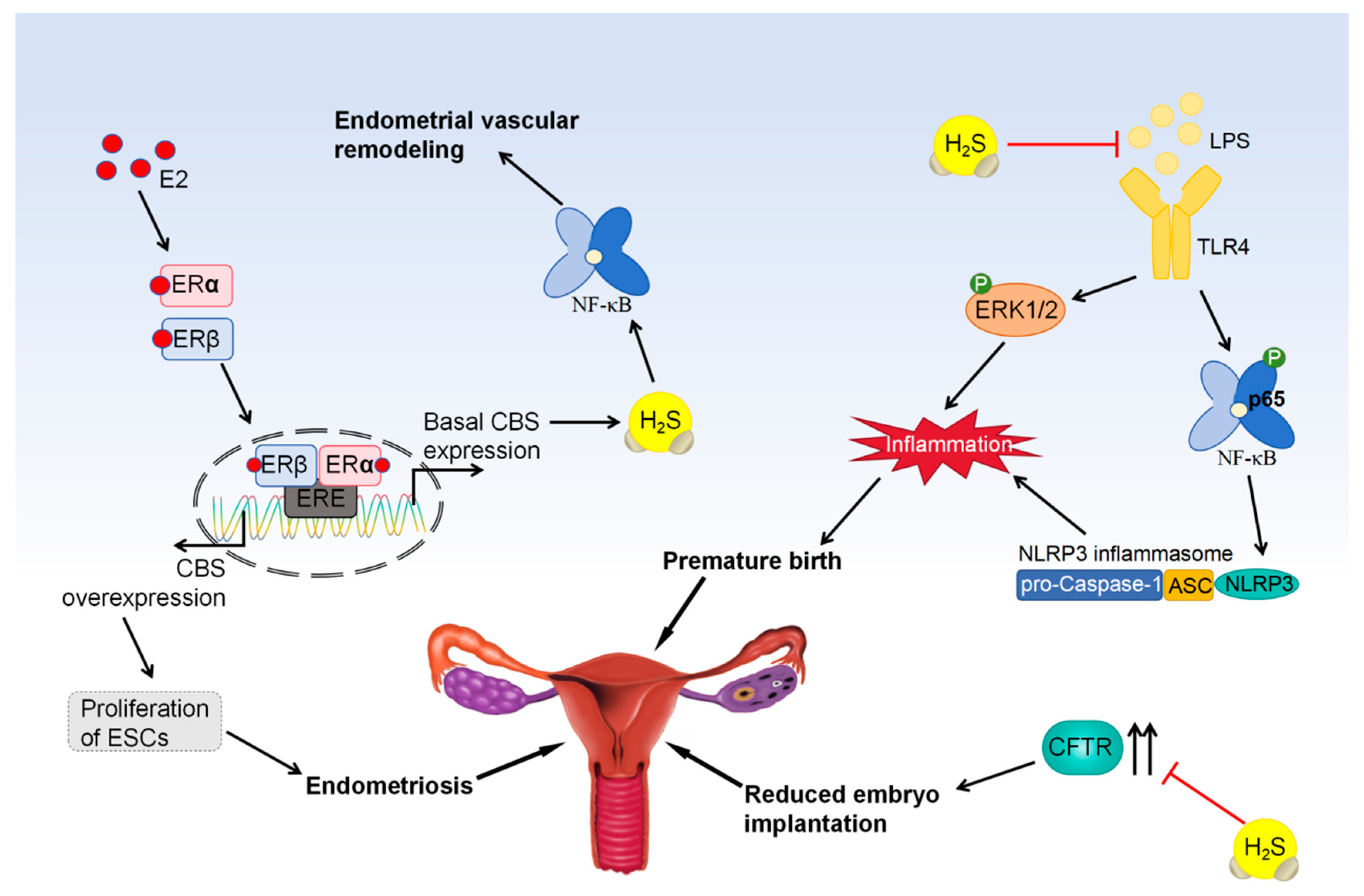 Biomolecules 14 00540 g006