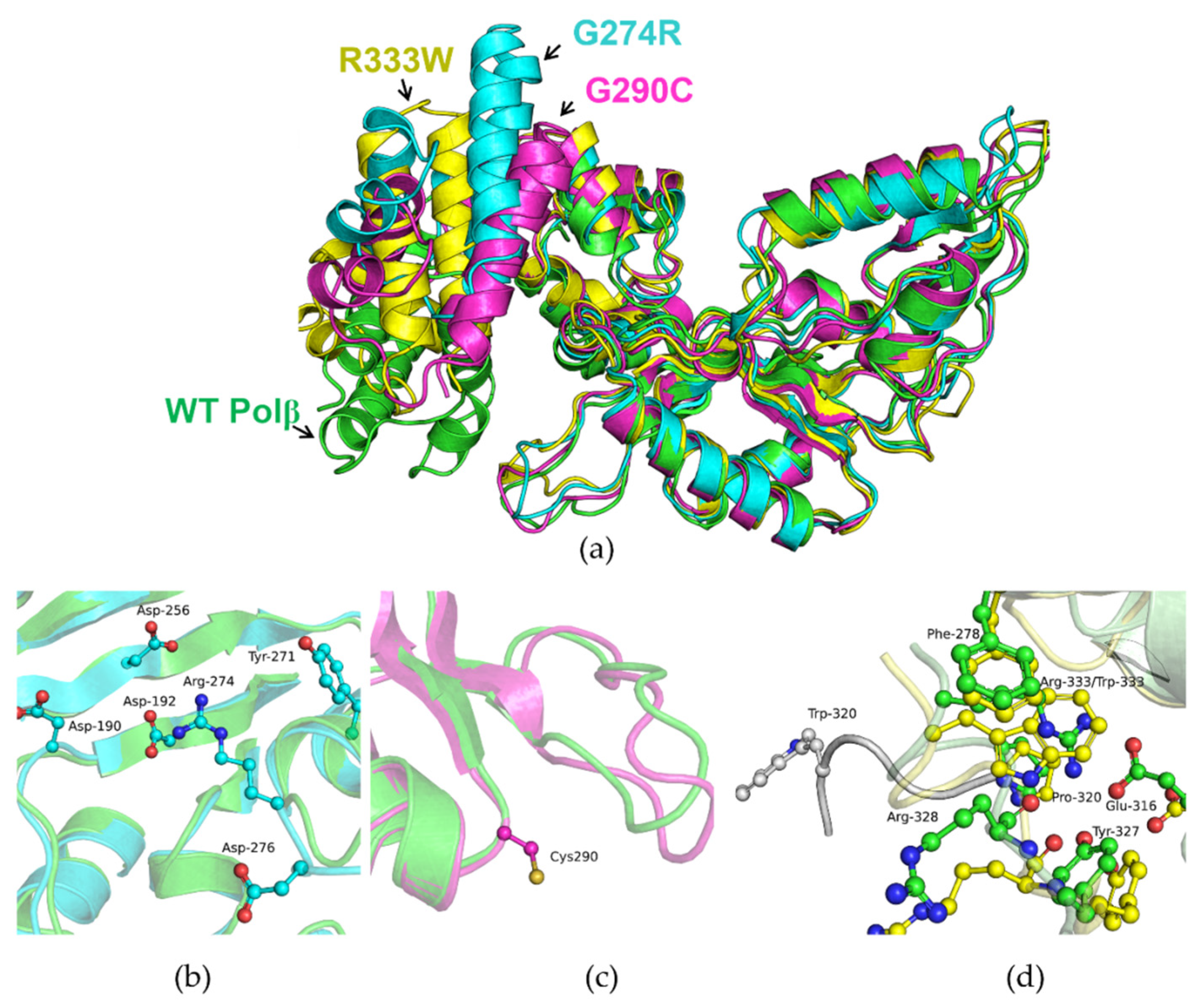 Biomolecules 14 00547 g003