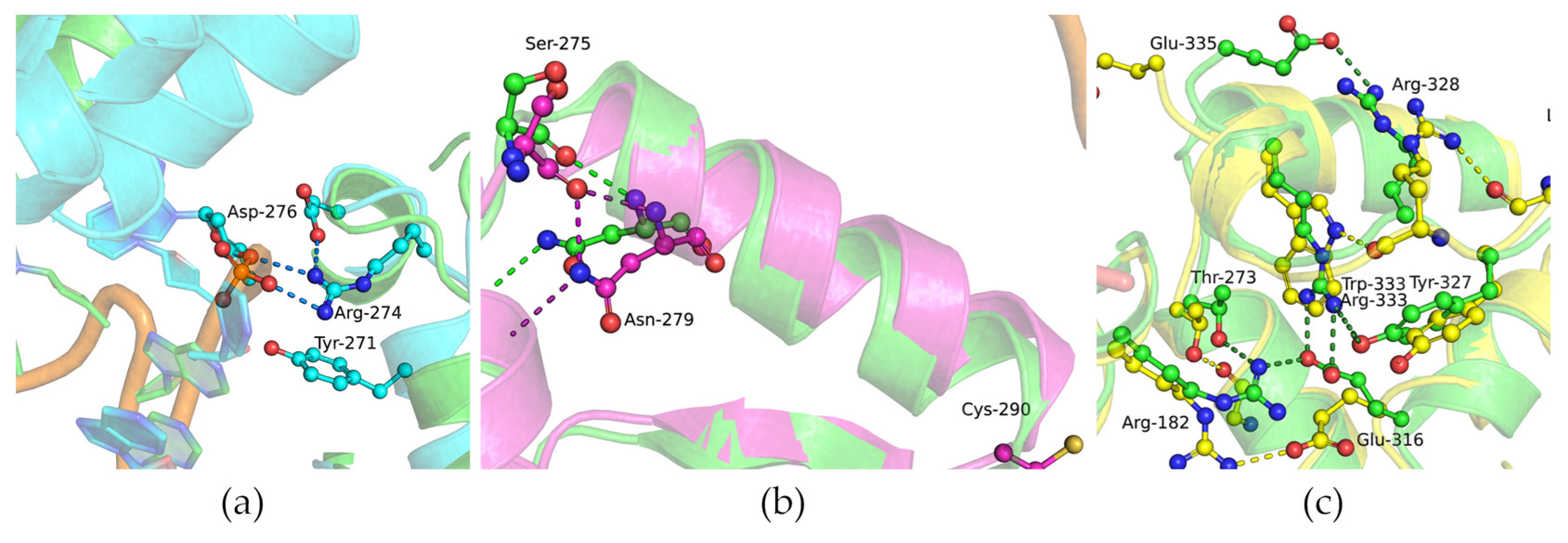 Biomolecules 14 00547 g006