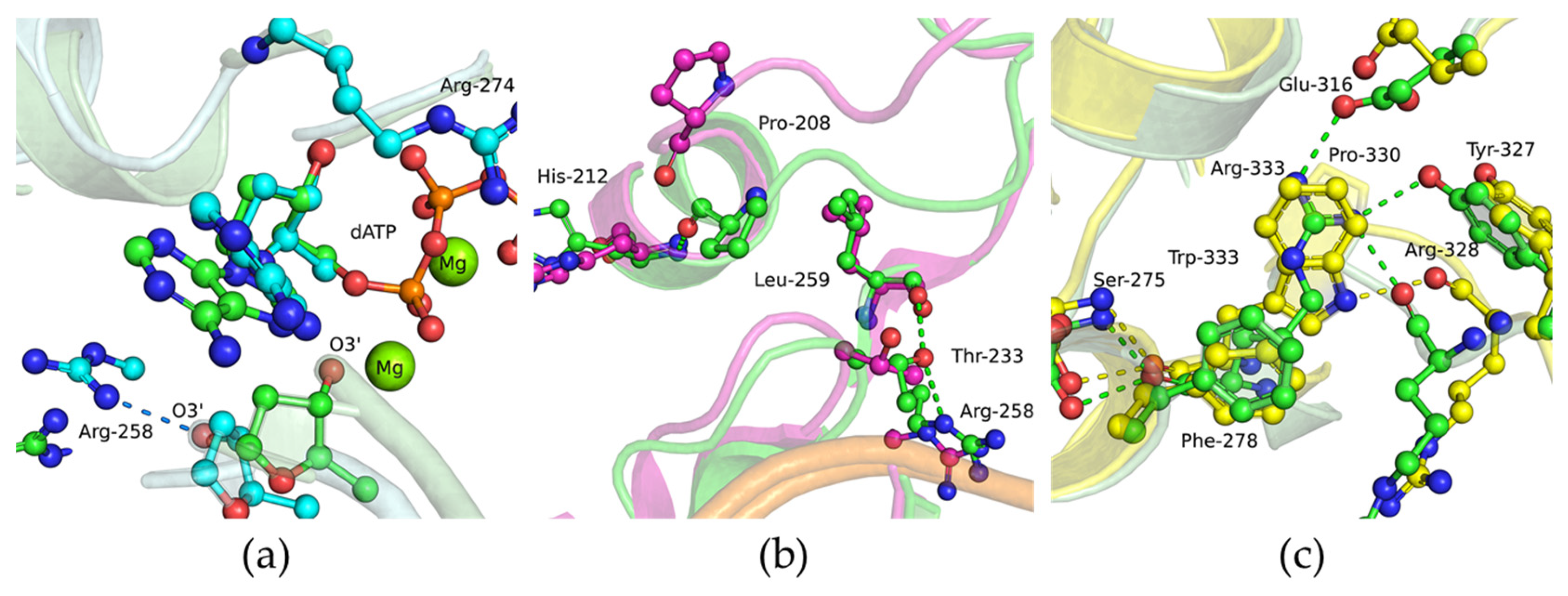 Biomolecules 14 00547 g011