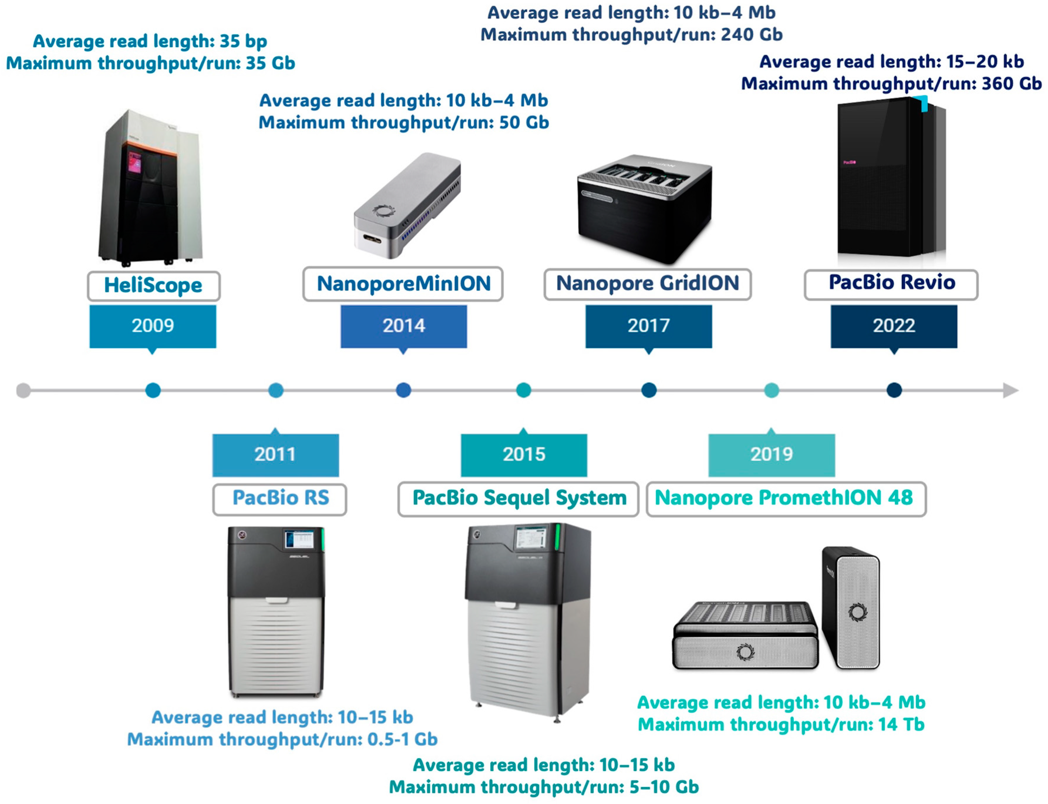 Biomolecules 14 00568 g001