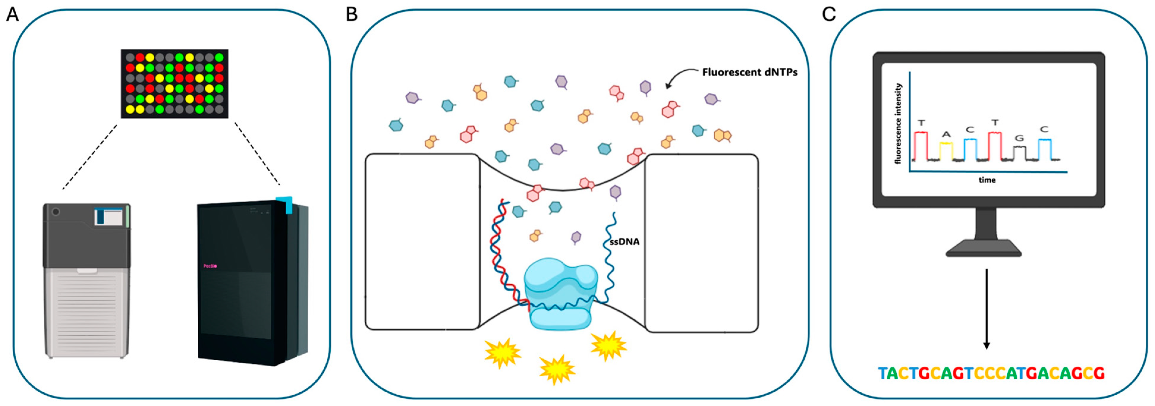 Biomolecules 14 00568 g002